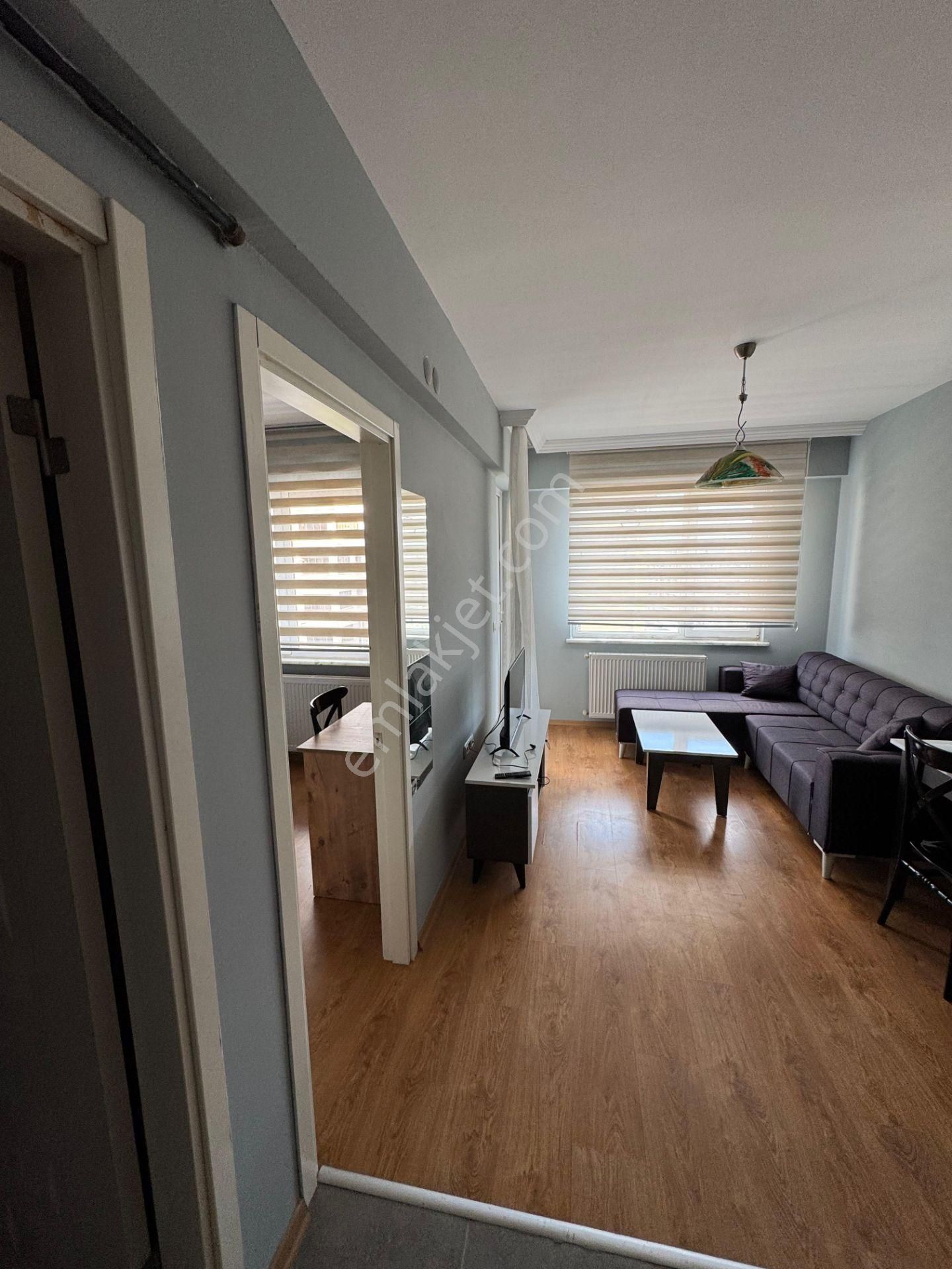 Bahar'dan Dumlupınar'da Kiralık Eşyalı Yeni Boyalı 1+1 Daire - Görsel 5