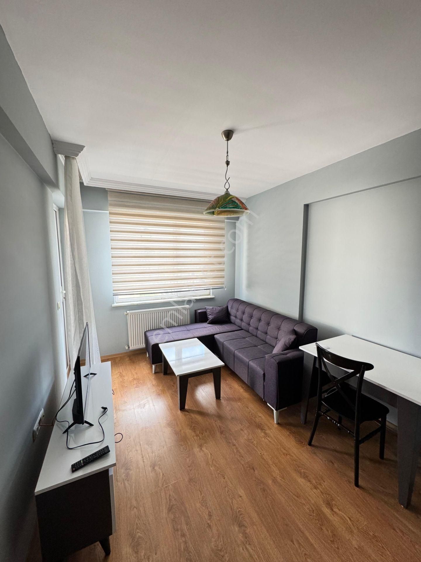 Bahar'dan Dumlupınar'da Kiralık Eşyalı Yeni Boyalı 1+1 Daire - Görsel 7