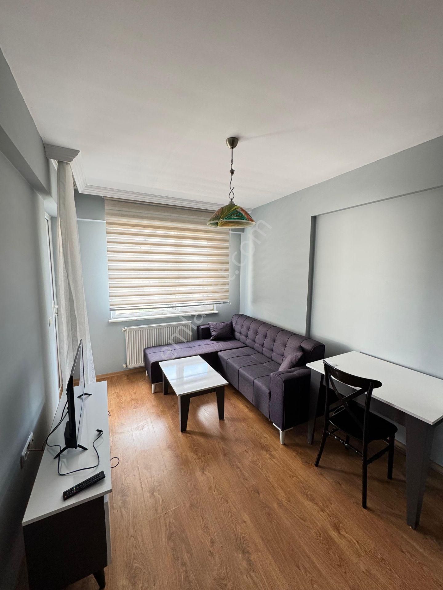 Bahar'dan Dumlupınar'da Kiralık Eşyalı Yeni Boyalı 1+1 Daire - Görsel 6