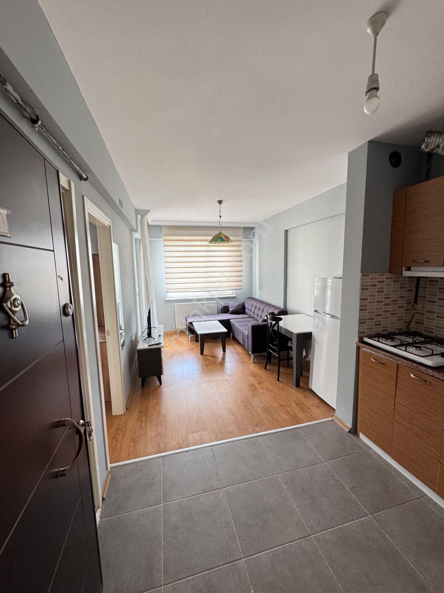 Bahar'dan Dumlupınar'da Kiralık Eşyalı Yeni Boyalı 1+1 Daire - Görsel 3