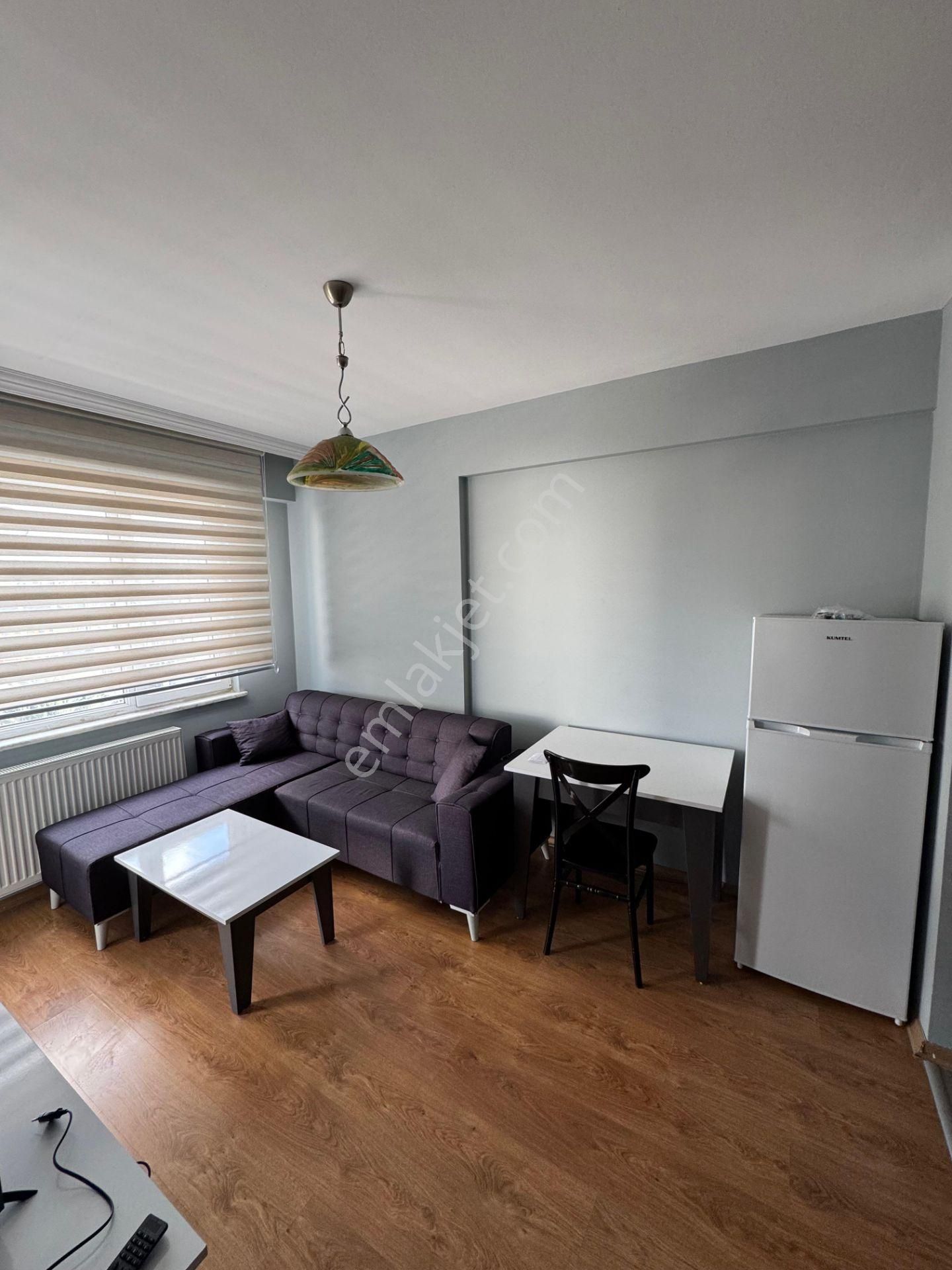 Bahar'dan Dumlupınar'da Kiralık Eşyalı Yeni Boyalı 1+1 Daire - Görsel 12