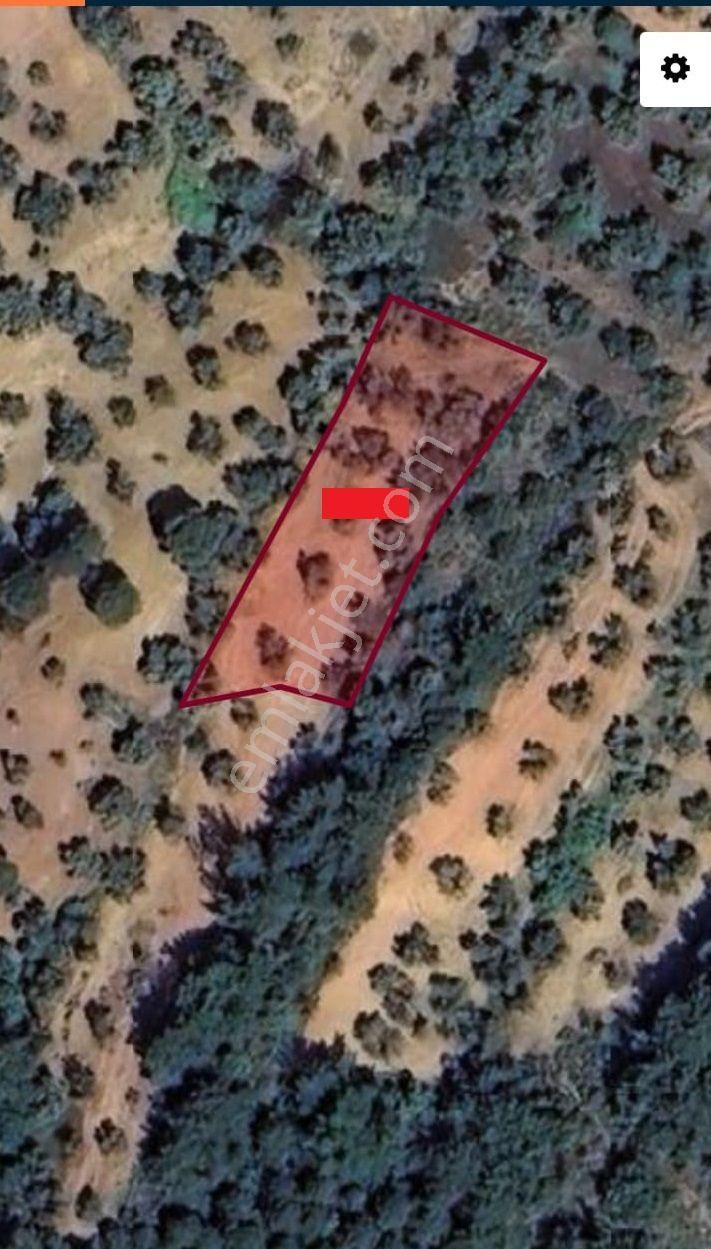 Balıkesir Burhaniye Ağacık"da Satılık 955 M2 Harika Zeytinlik - Görsel 5
