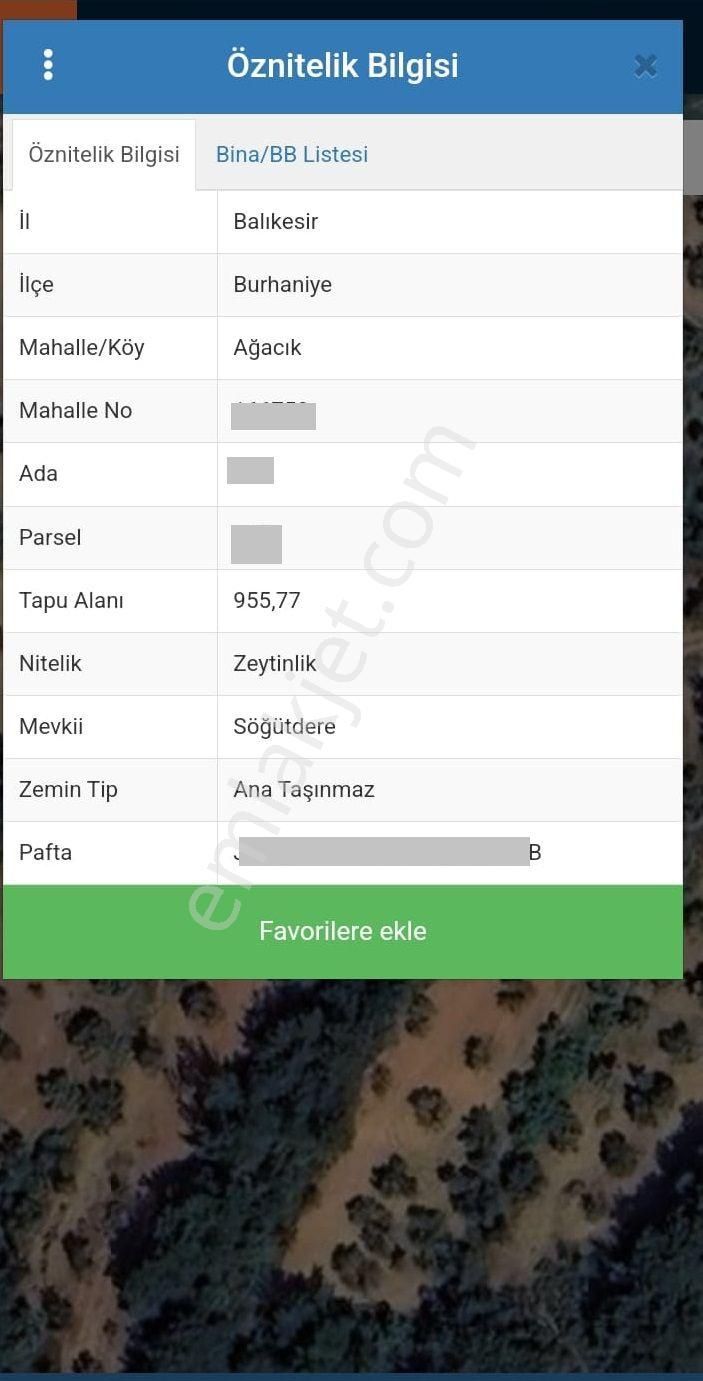 Balıkesir Burhaniye Ağacık"da Satılık 955 M2 Harika Zeytinlik - Görsel 2