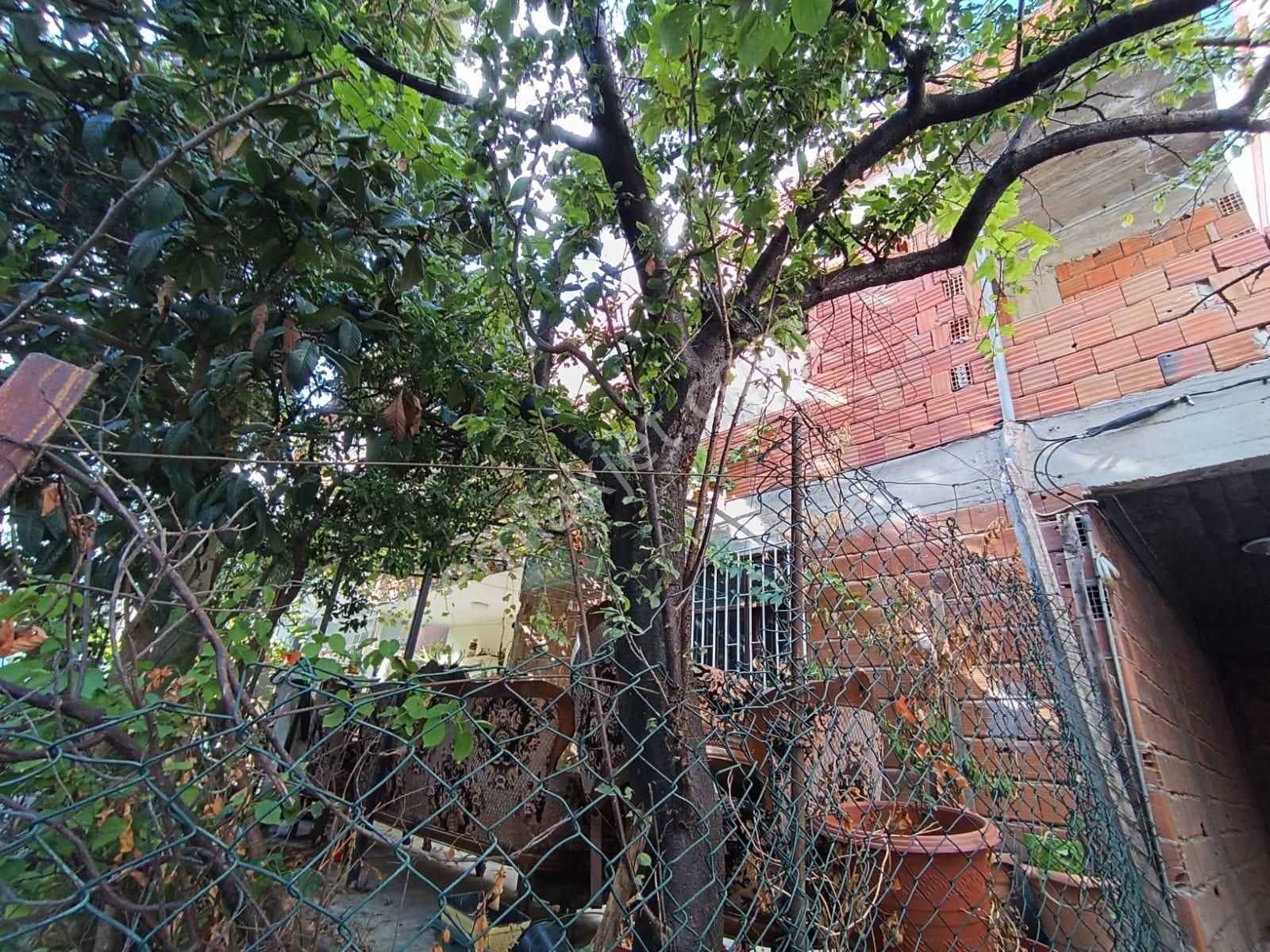 Esenyalı Fatih Mahallesinde Satılık 240m2 Arsa İçinde Müstakil 3 Kat Ev - Görsel 28