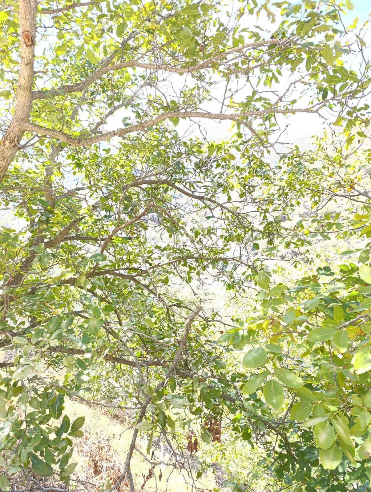 Nokta Gayrimenkul'den Ceriközü Mahallesi'nde Tek Fiyat!!! - Görsel 9