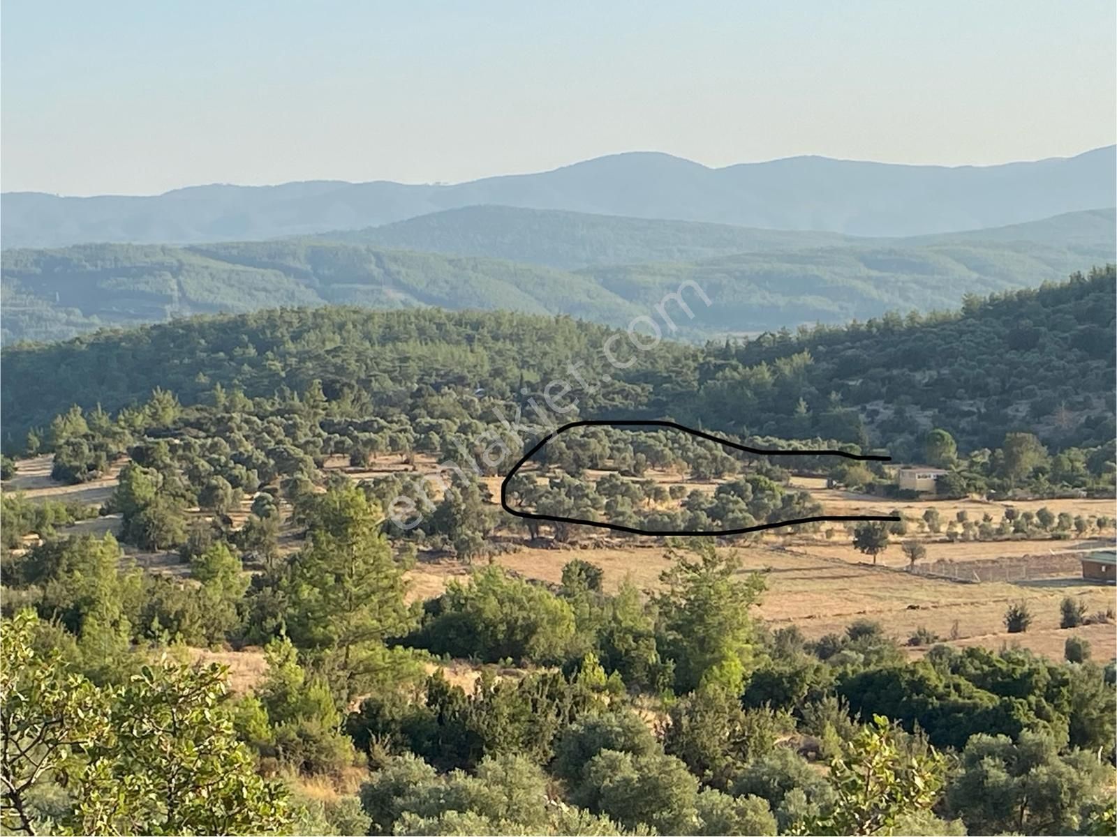 Muğla Milas Gökbel Mevkii Yatırımlık Fırsat 2003 M² Tarla - Görsel 16