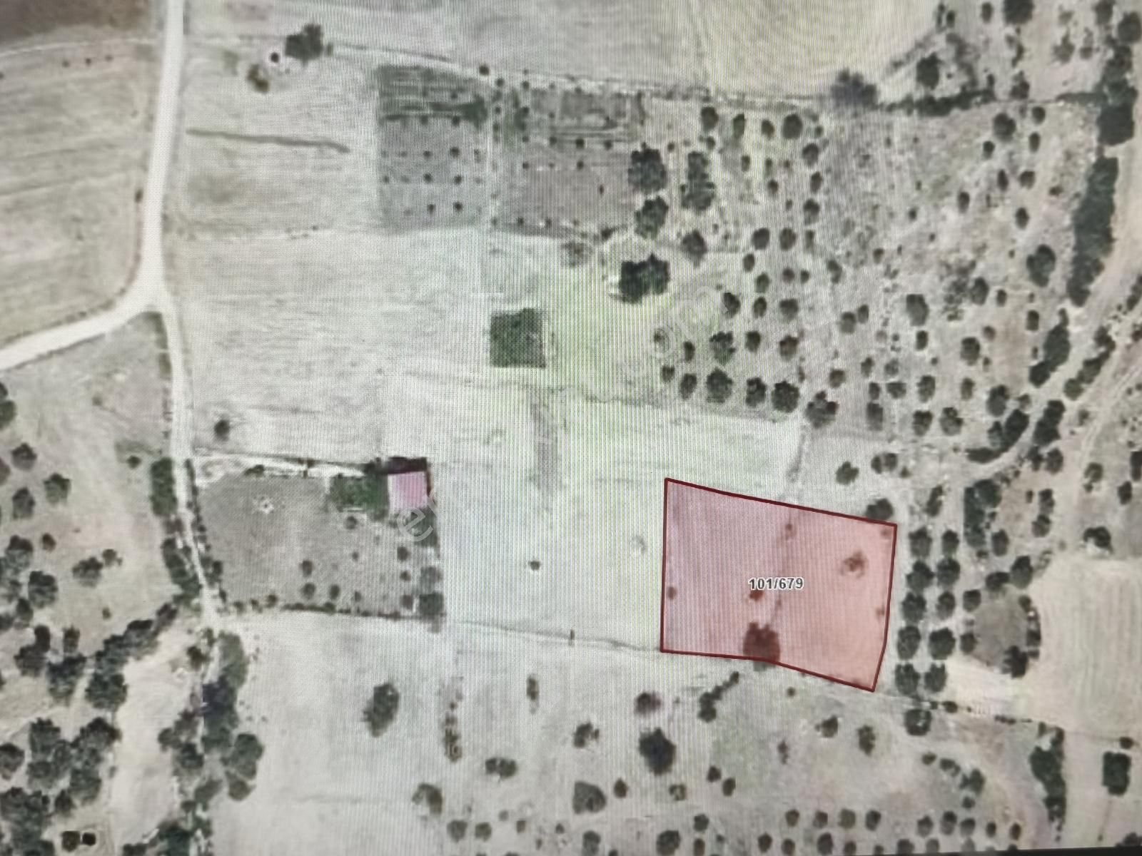 Muğla Milas Gökbel Mevkii Yatırımlık Fırsat 2003 M² Tarla - Görsel 15