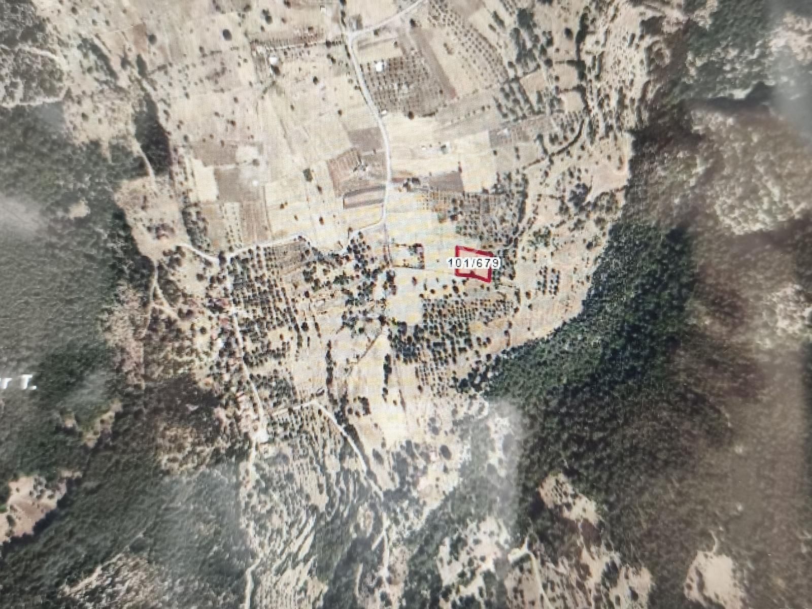 Muğla Milas Gökbel Mevkii Yatırımlık Fırsat 2003 M² Tarla - Görsel 2