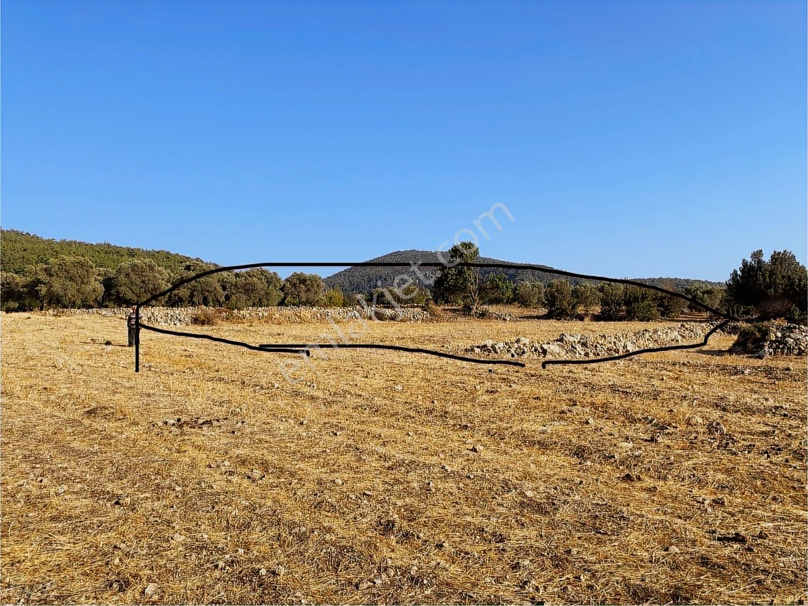 Muğla Milas Gökbel Mevkii Yatırımlık Fırsat 2003 M² Tarla - Görsel 17