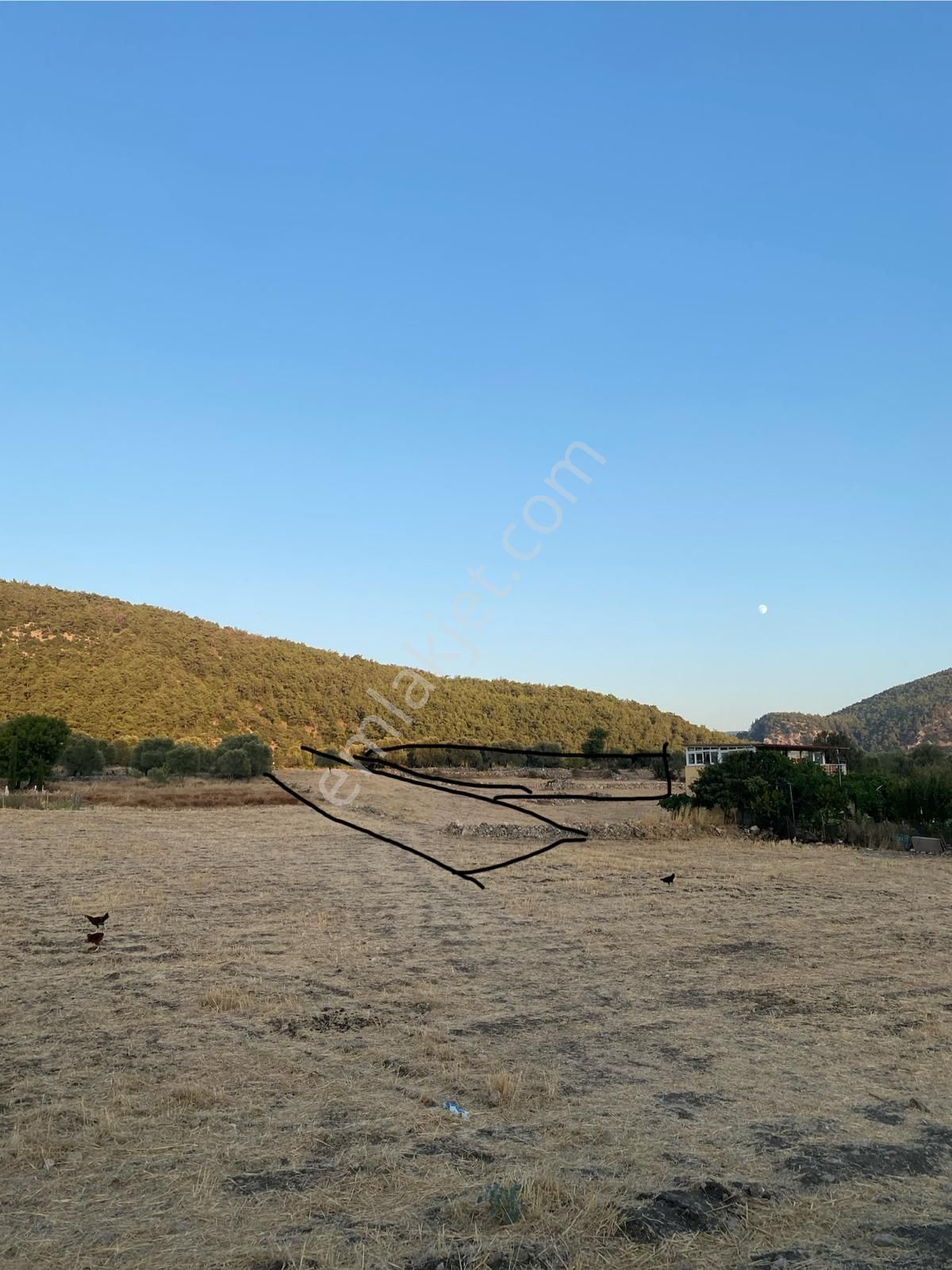 Muğla Milas Gökbel Mevkii Yatırımlık Fırsat 2003 M² Tarla - Görsel 10