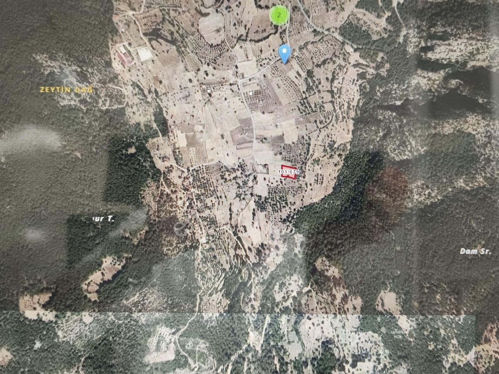 Muğla Milas Gökbel Mevkii Yatırımlık Fırsat 2003 M² Tarla - Görsel 4