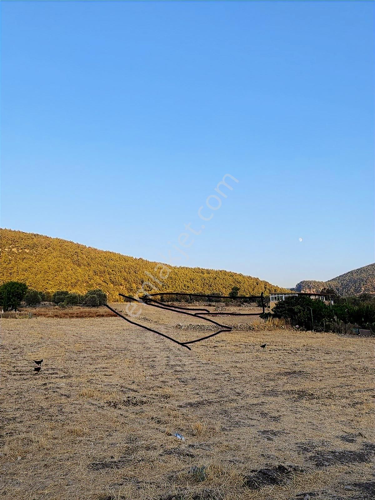 Muğla Milas Gökbel Mevkii Yatırımlık Fırsat 2003 M² Tarla - Görsel 5