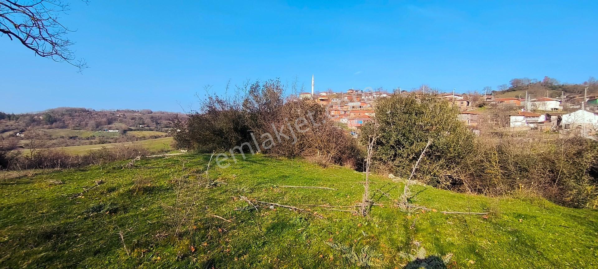 600 M² %40 Oturum Ve Ve 2 Katlı İmarlı Köy Arsası Cicikler Köyü, Çan Çanakkale - Görsel 13