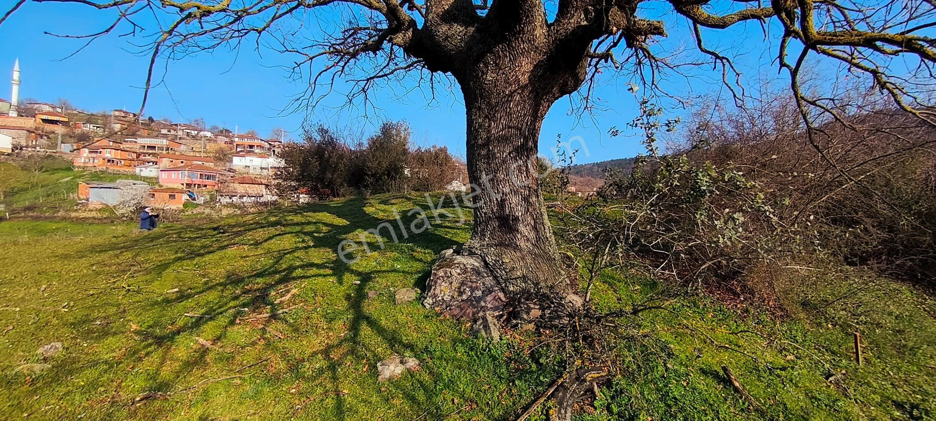 600 M² %40 Oturum Ve Ve 2 Katlı İmarlı Köy Arsası Cicikler Köyü, Çan Çanakkale - Görsel 4
