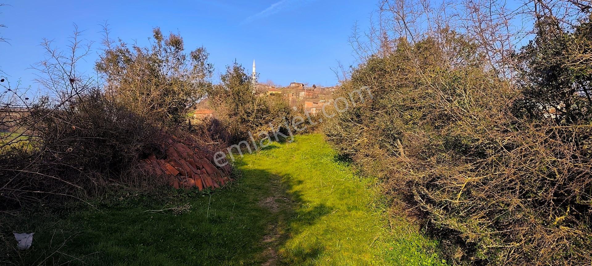 600 M² %40 Oturum Ve Ve 2 Katlı İmarlı Köy Arsası Cicikler Köyü, Çan Çanakkale - Görsel 14