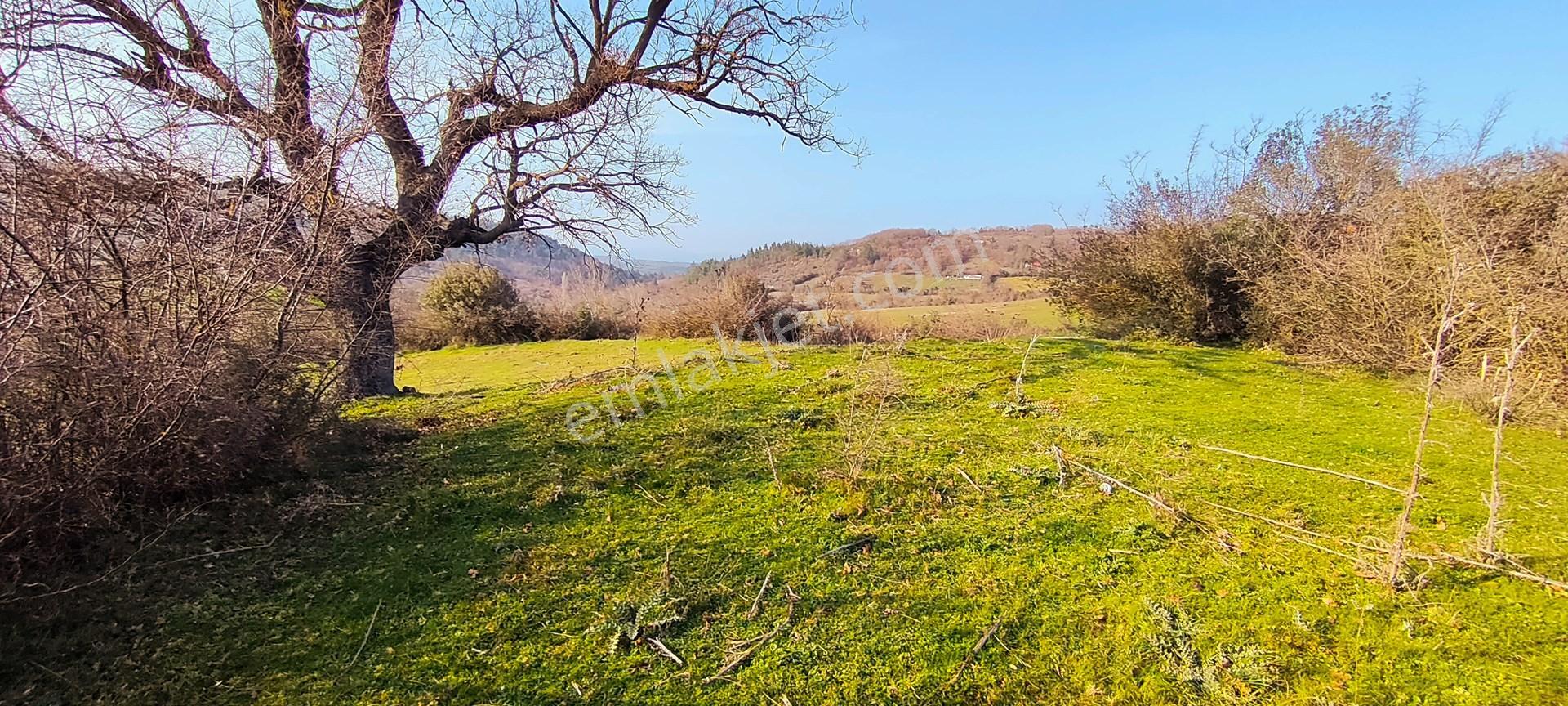 600 M² %40 Oturum Ve Ve 2 Katlı İmarlı Köy Arsası Cicikler Köyü, Çan Çanakkale - Görsel 12