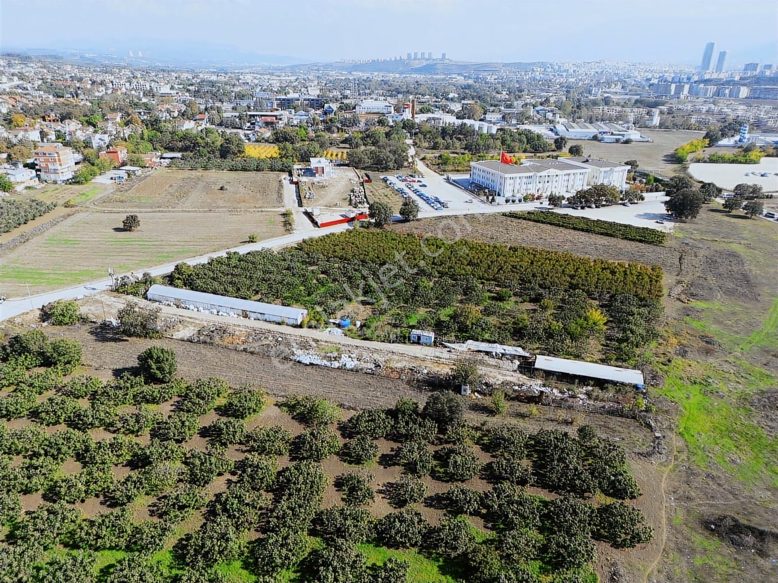 Bursa, Bademli'de Bilfen Okulu Yakını Kiralık Tarla - Görsel 5