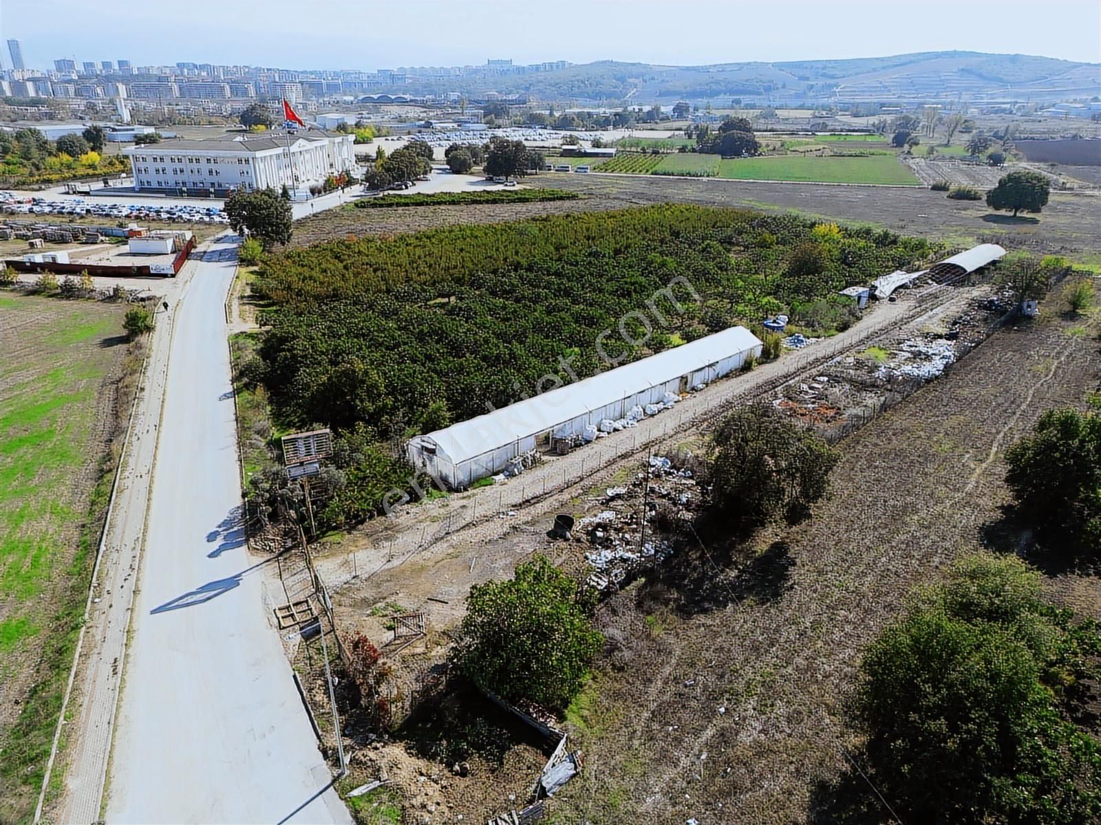 Bursa, Bademli'de Bilfen Okulu Yakını Kiralık Tarla - Görsel 4
