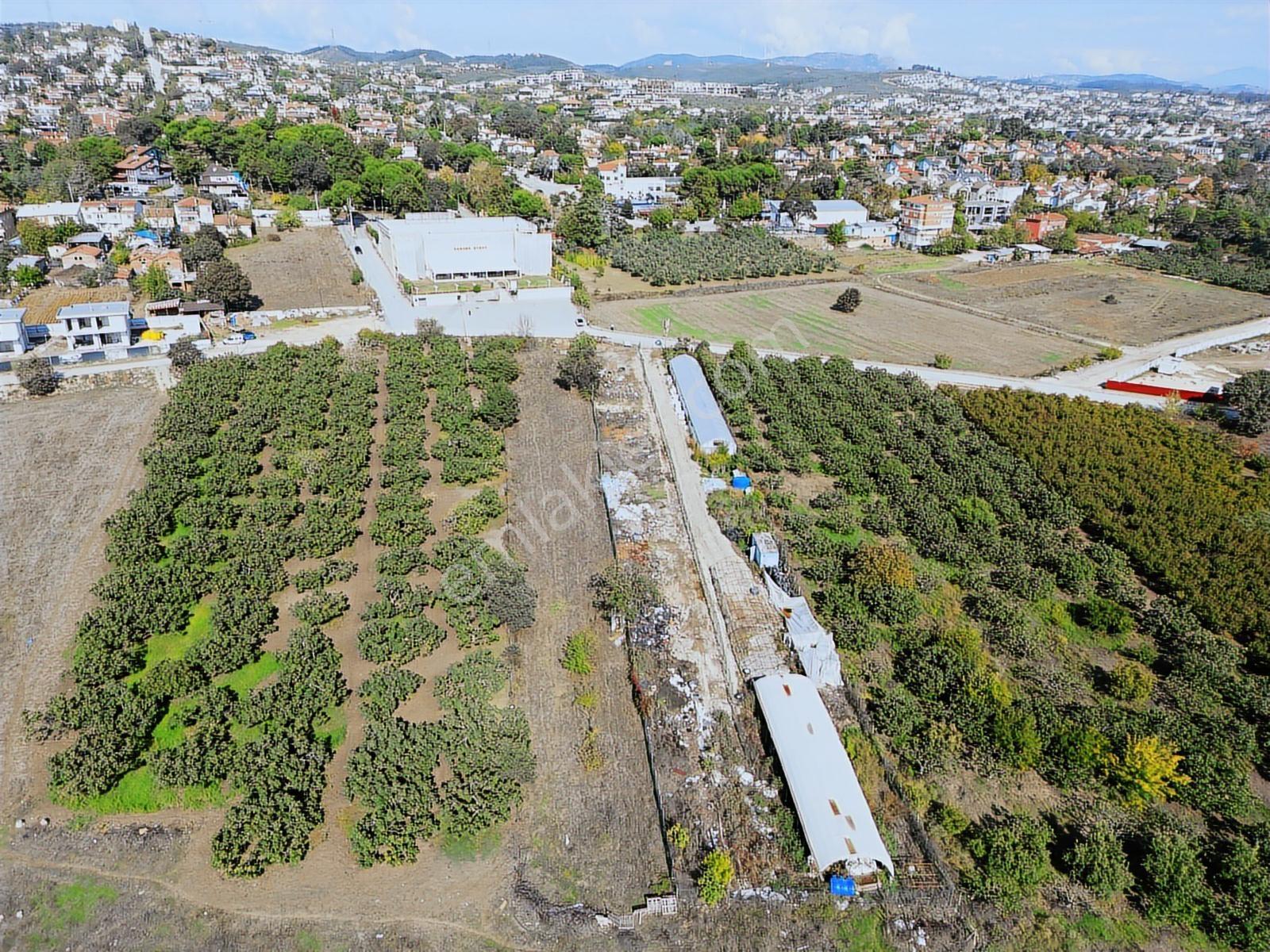 Bursa, Bademli'de Bilfen Okulu Yakını Kiralık Tarla - Görsel 7