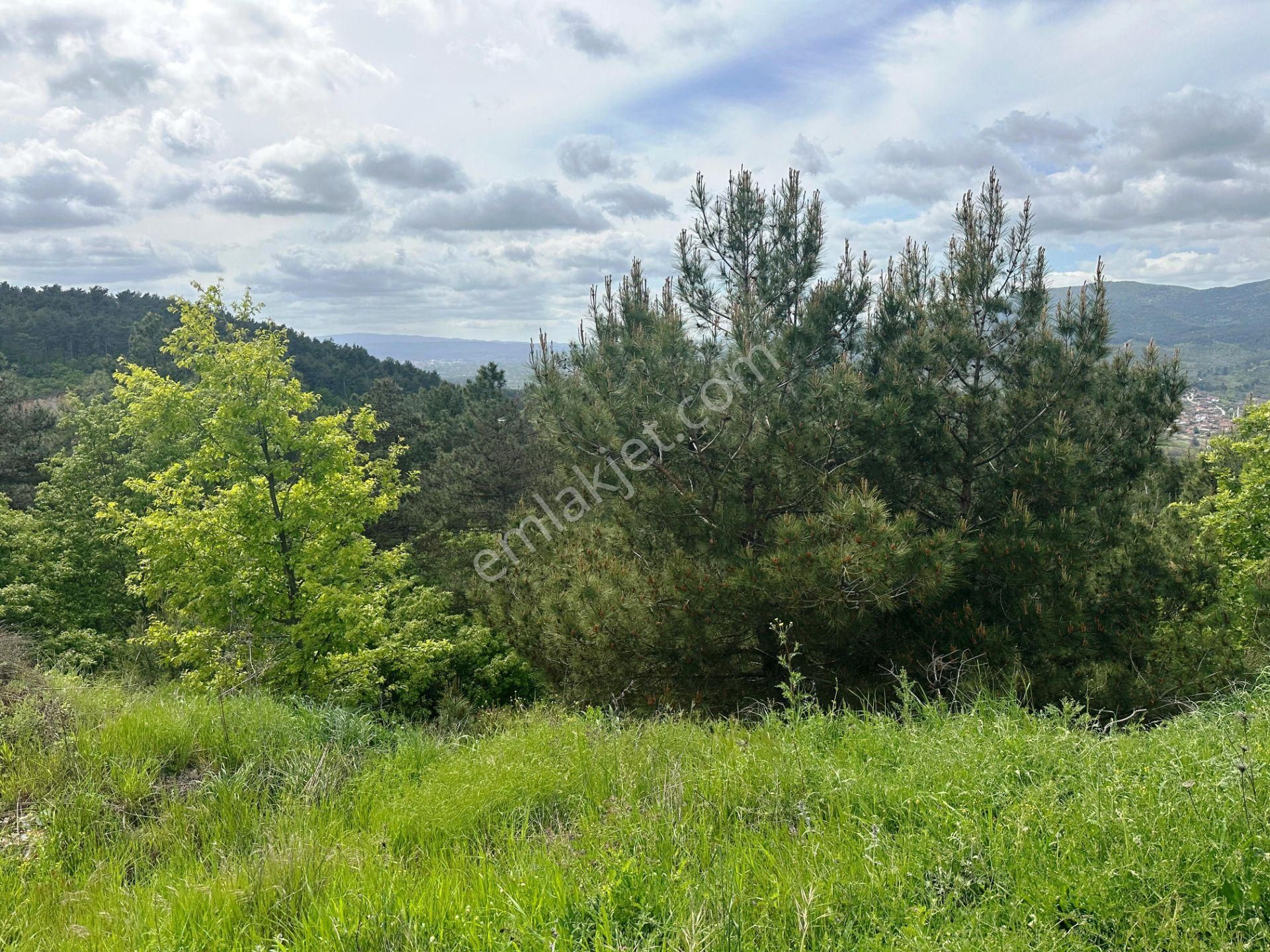 Yenice Çakırköy'de 3 Dönüm Asfalta 2.parsel Sorunsuz Satılık Arsa - Görsel 5
