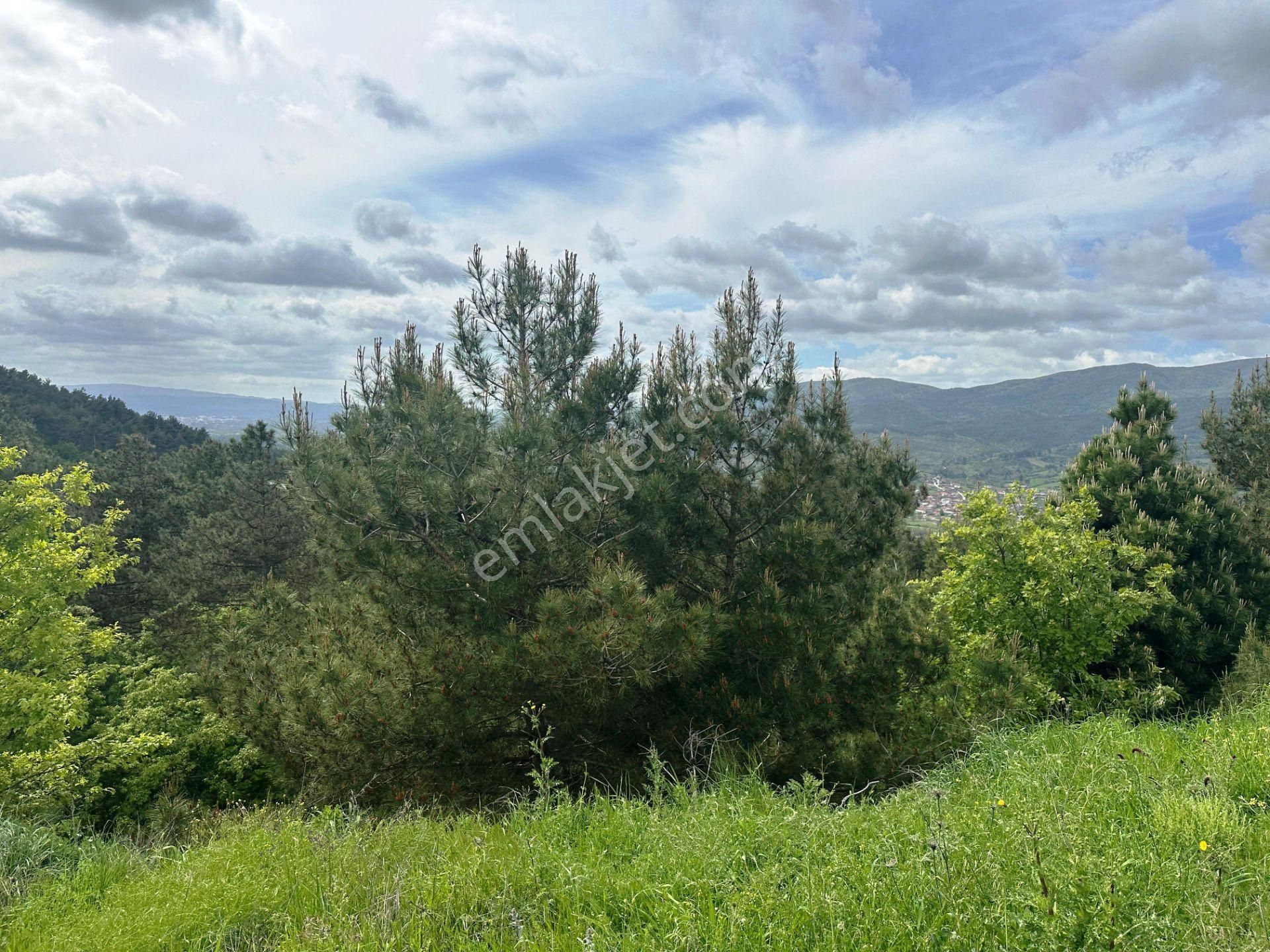 Yenice Çakırköy'de 3 Dönüm Asfalta 2.parsel Sorunsuz Satılık Arsa - Görsel 6