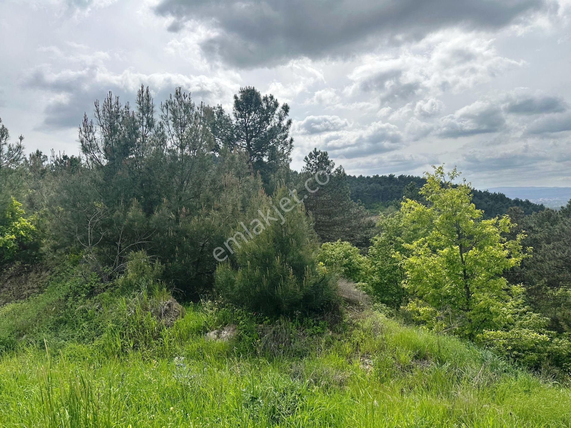 Yenice Çakırköy'de 3 Dönüm Asfalta 2.parsel Sorunsuz Satılık Arsa - Görsel 3