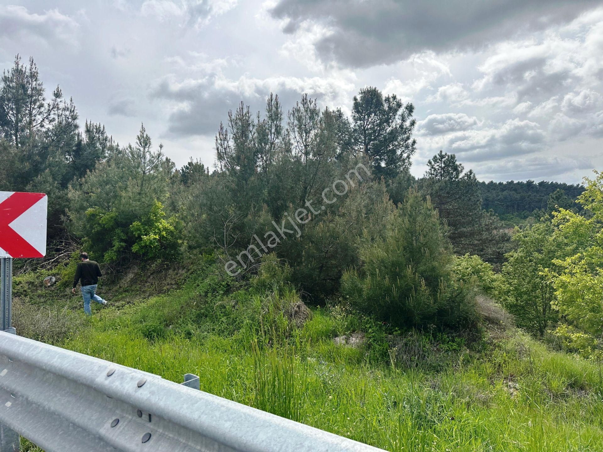 Yenice Çakırköy'de 3 Dönüm Asfalta 2.parsel Sorunsuz Satılık Arsa - Görsel 24