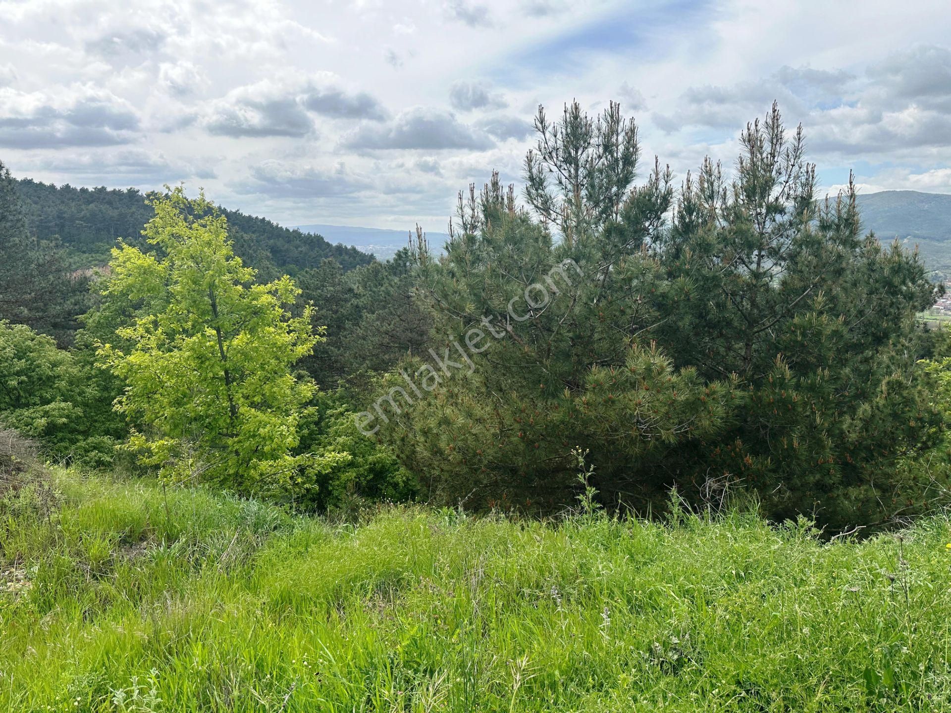 Yenice Çakırköy'de 3 Dönüm Asfalta 2.parsel Sorunsuz Satılık Arsa - Görsel 20