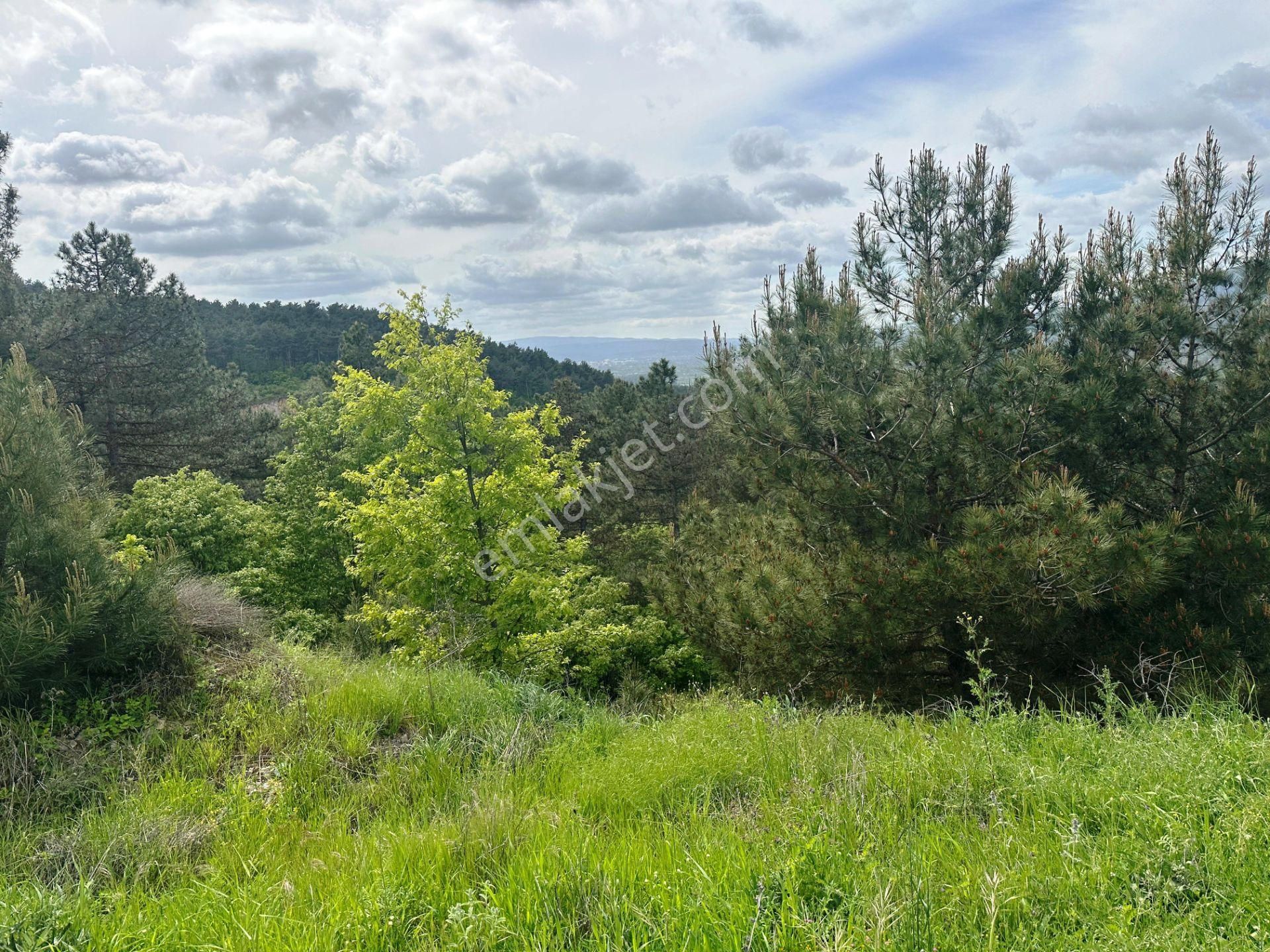 Yenice Çakırköy'de 3 Dönüm Asfalta 2.parsel Sorunsuz Satılık Arsa - Görsel 4