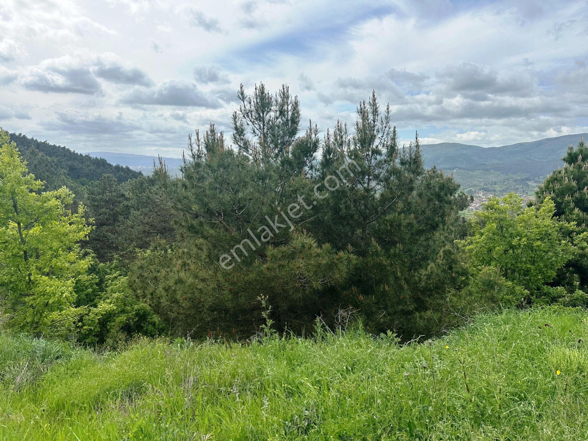 Yenice Çakırköy'de 3 Dönüm Asfalta 2.parsel Sorunsuz Satılık Arsa