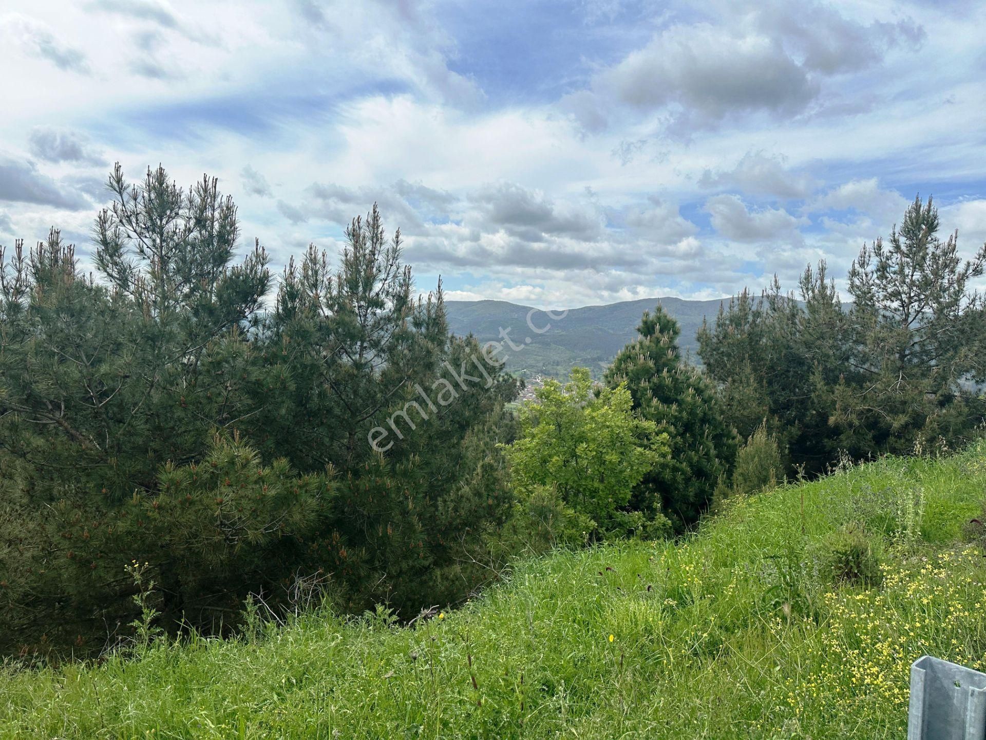 Yenice Çakırköy'de 3 Dönüm Asfalta 2.parsel Sorunsuz Satılık Arsa - Görsel 19