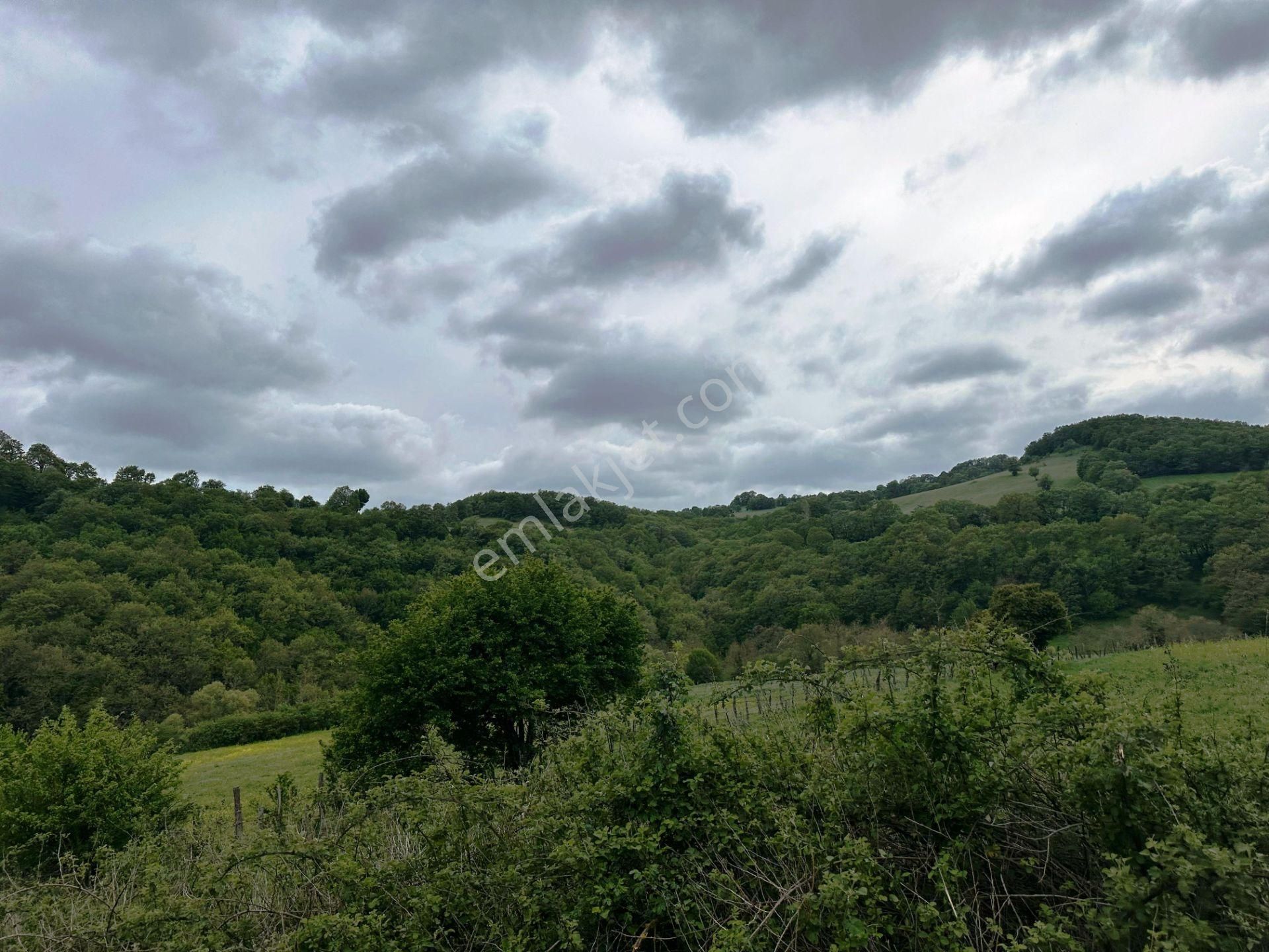 Yenice Yeşilköy'de 5.991m2 Elektrik-su Çekilebilir Satılık Arsa - Görsel 4