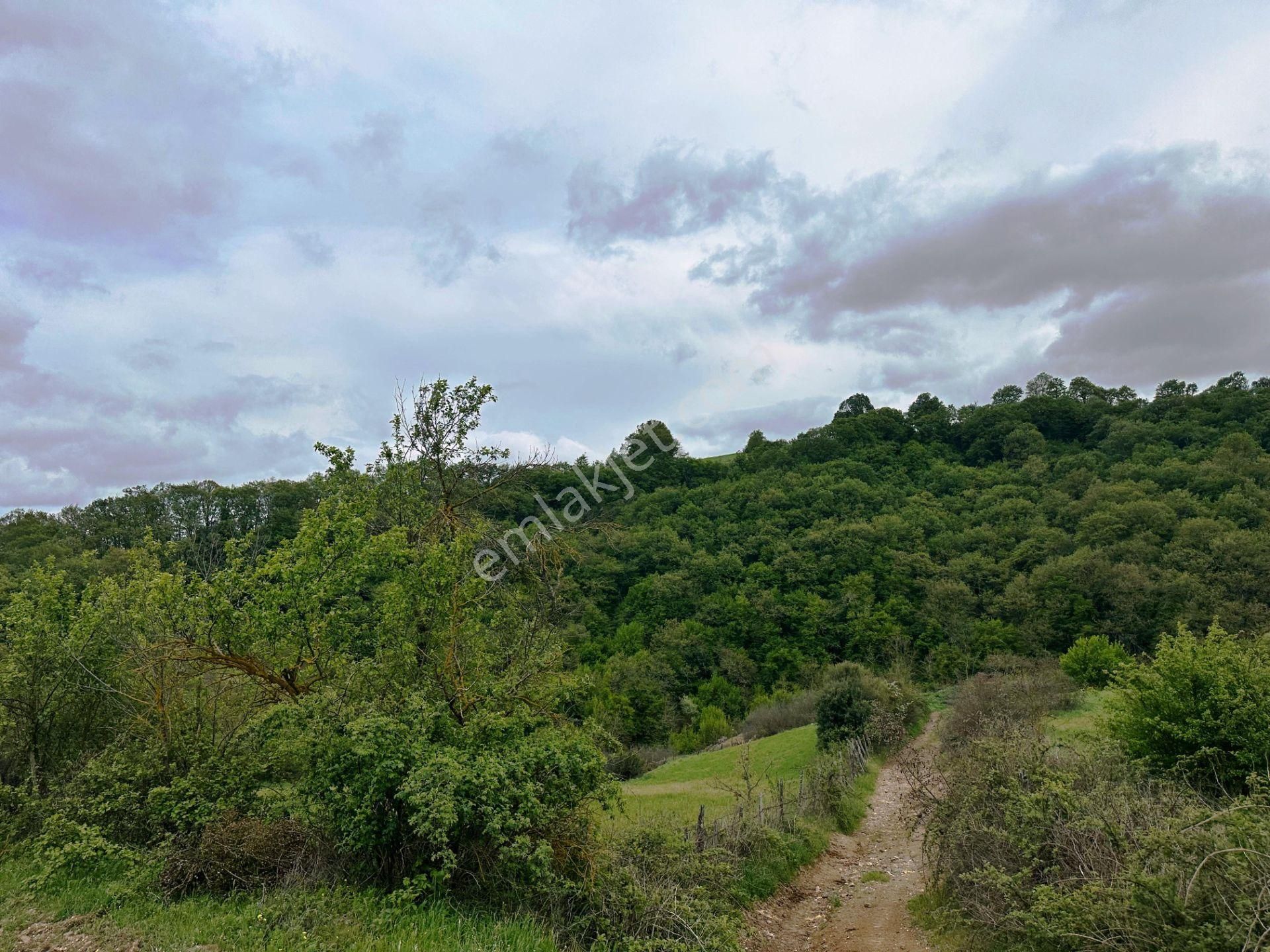 Yenice Yeşilköy'de 5.991m2 Elektrik-su Çekilebilir Satılık Arsa - Görsel 5