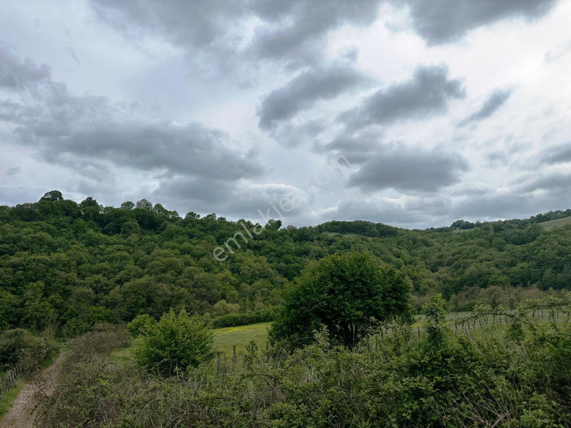 Yenice Yeşilköy'de 5.991m2 Elektrik-su Çekilebilir Satılık Arsa - Görsel 2