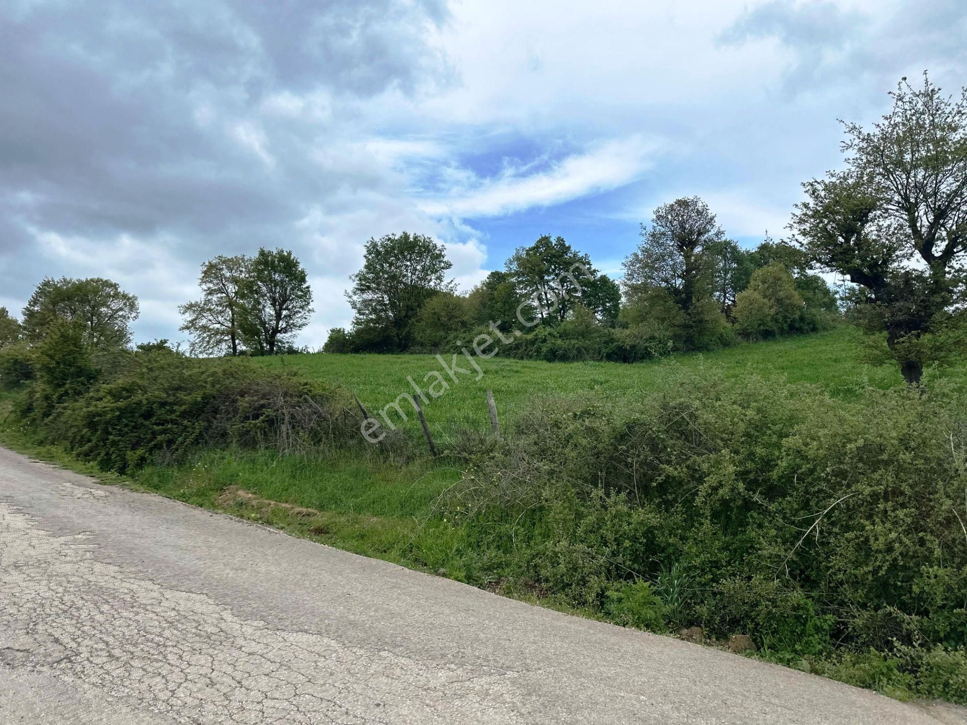 Yenice Yeşilköy'de 5.991m2 Elektrik-su Çekilebilir Satılık Arsa - Görsel 17