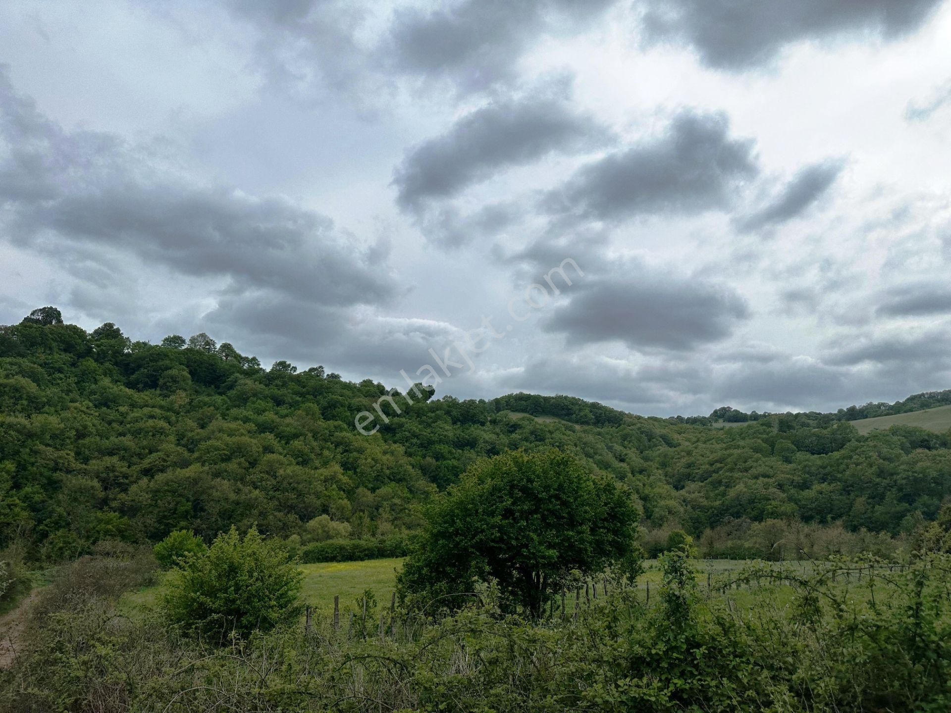 Yenice Yeşilköy'de 5.991m2 Elektrik-su Çekilebilir Satılık Arsa - Görsel 35