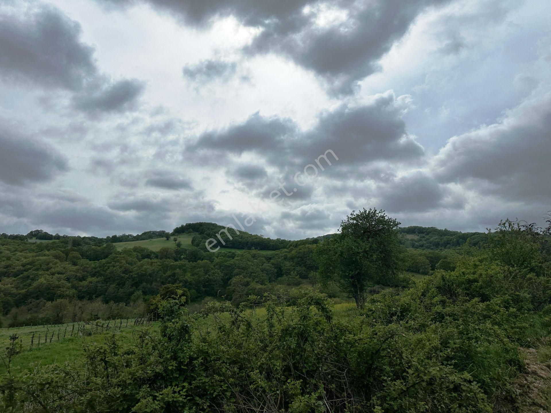 Yenice Yeşilköy'de 5.991m2 Elektrik-su Çekilebilir Satılık Arsa - Görsel 21