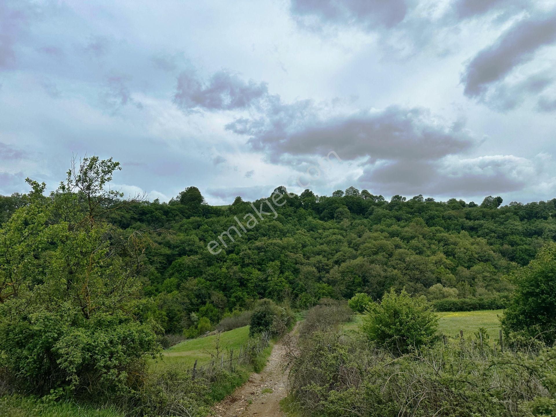 Yenice Yeşilköy'de 5.991m2 Elektrik-su Çekilebilir Satılık Arsa - Görsel 3