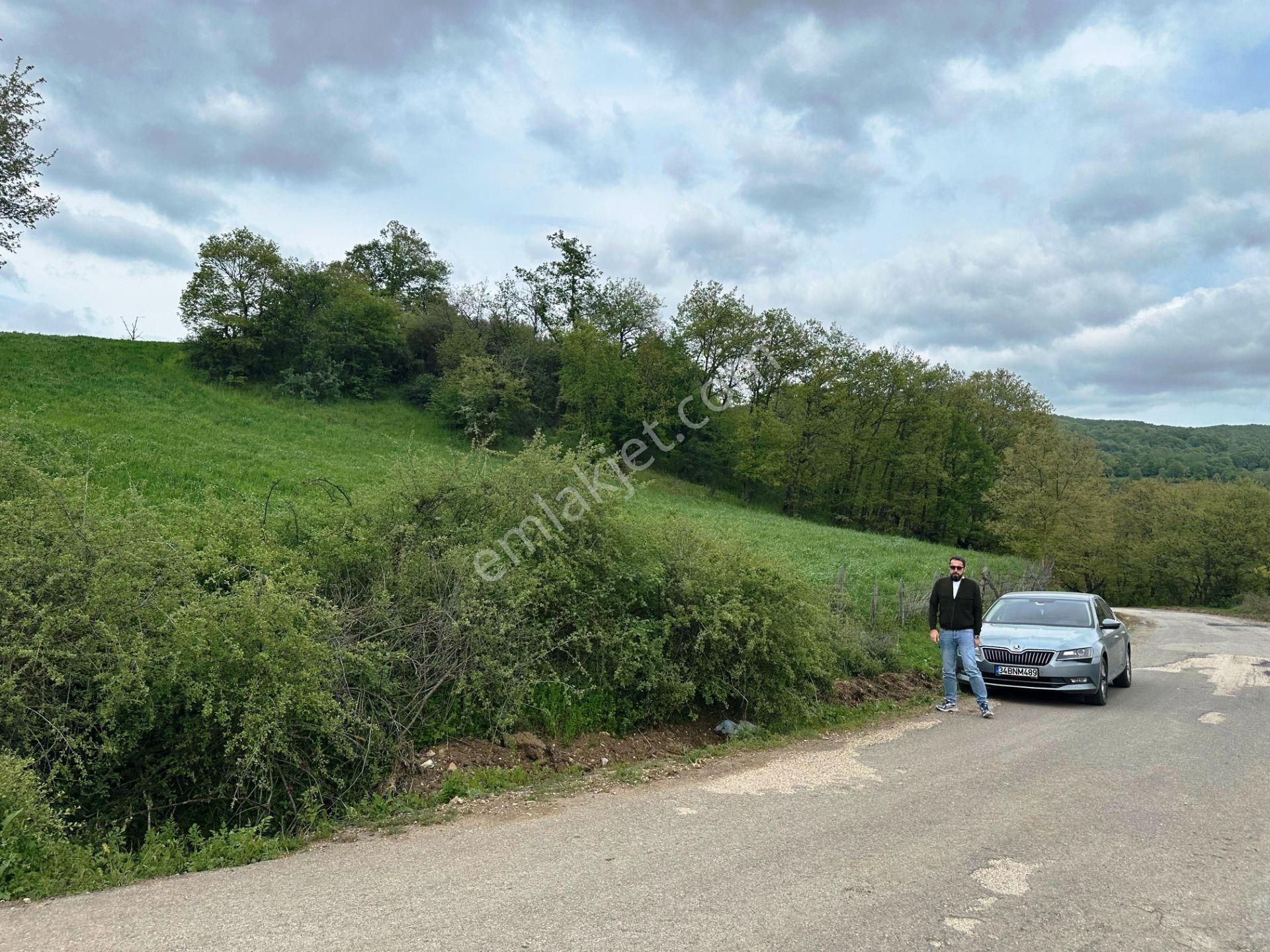 Yenice Yeşilköy'de 5.991m2 Elektrik-su Çekilebilir Satılık Arsa - Görsel 16