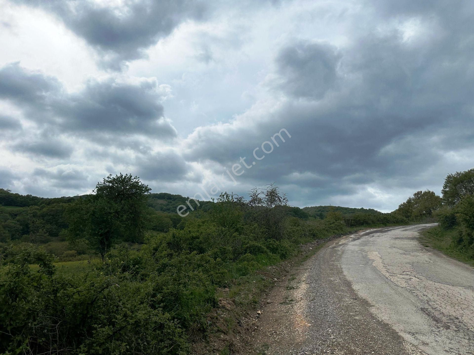 Yenice Yeşilköy'de 5.991m2 Elektrik-su Çekilebilir Satılık Arsa - Görsel 20
