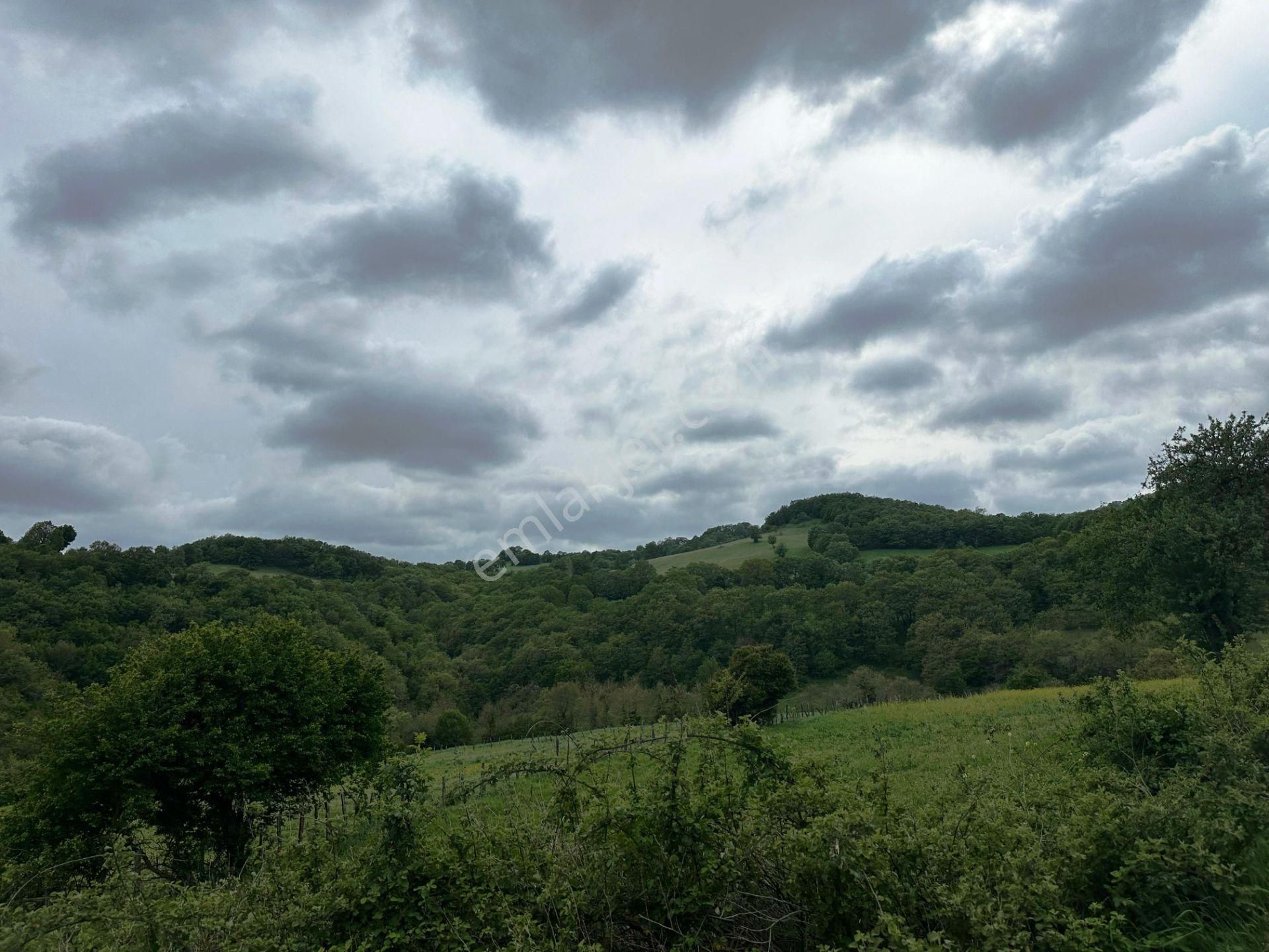 Yenice Yeşilköy'de 5.991m2 Elektrik-su Çekilebilir Satılık Arsa - Görsel 15