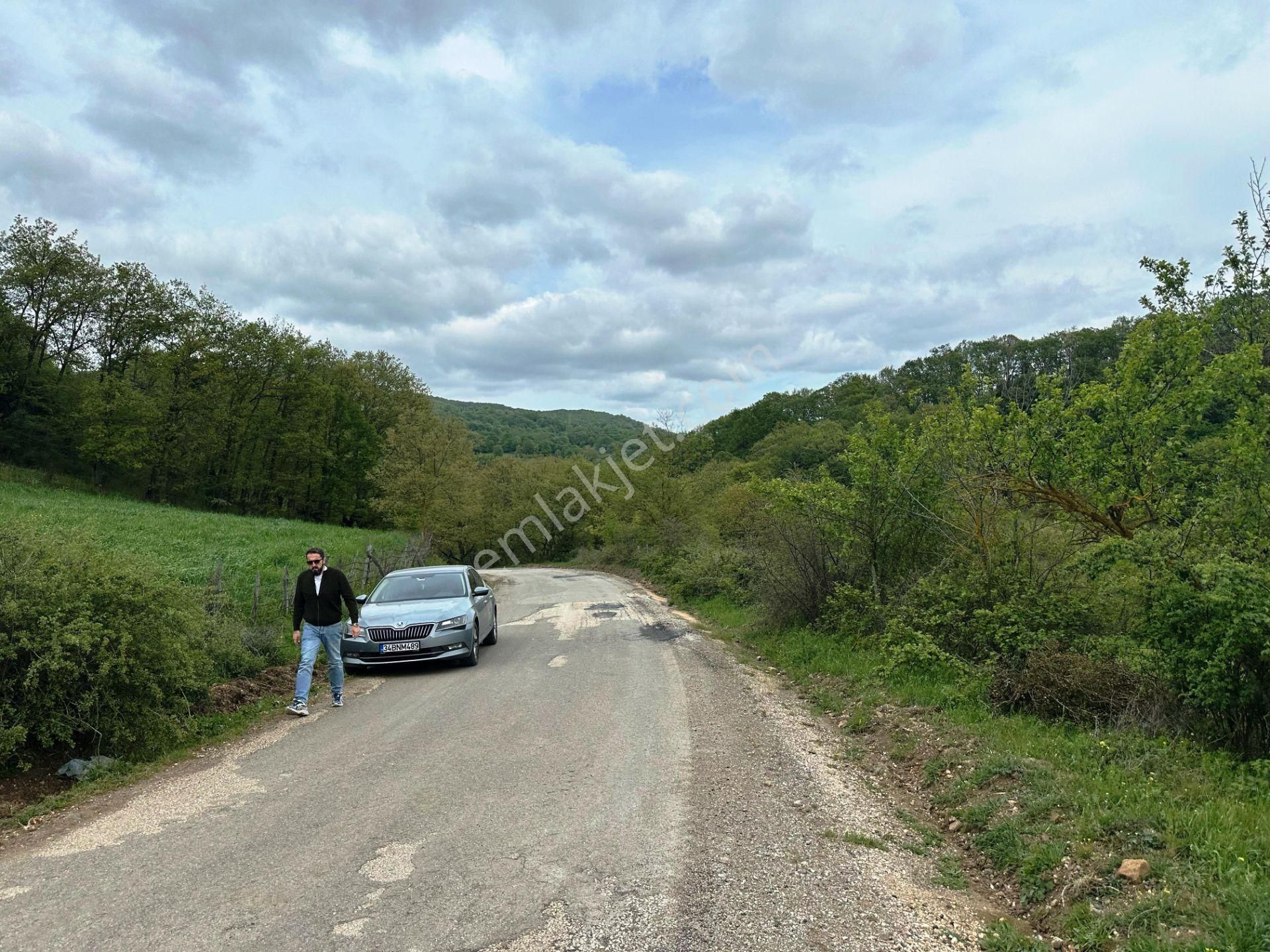 Yenice Yeşilköy'de 5.991m2 Elektrik-su Çekilebilir Satılık Arsa - Görsel 34