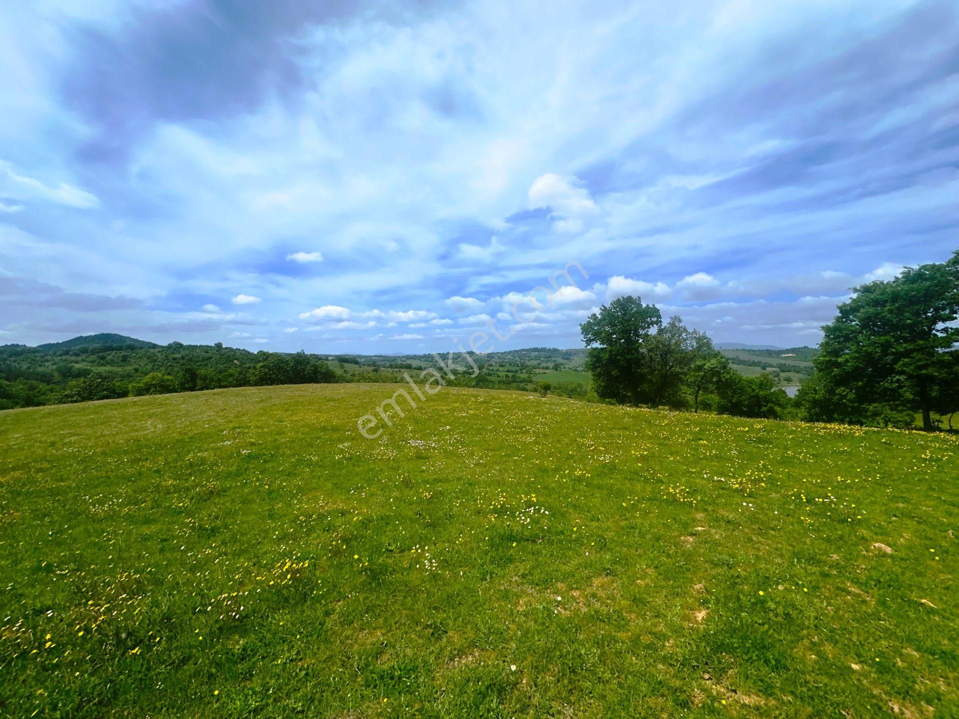 Çanakkale Bayramiç'de Yeni Otoban Yakınında 5.900m2 Satılık Arsa - Görsel 18