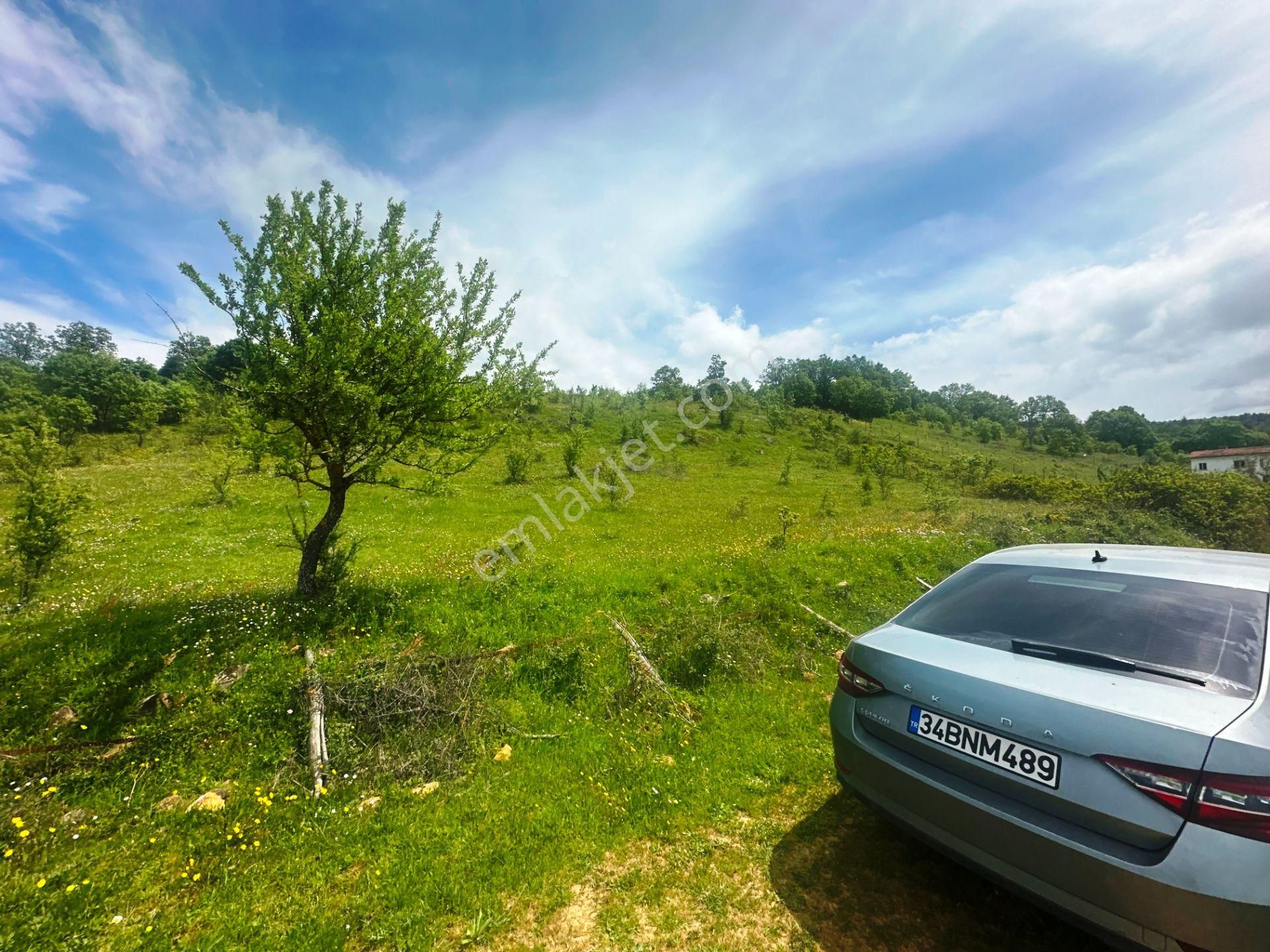 Çanakkale Bayramiç'de Yeni Otoban Yakınında 5.900m2 Satılık Arsa - Görsel 33