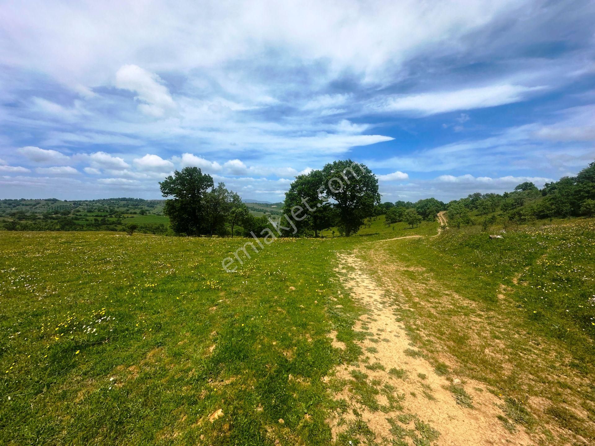 Çanakkale Bayramiç'de Yeni Otoban Yakınında 5.900m2 Satılık Arsa - Görsel 22