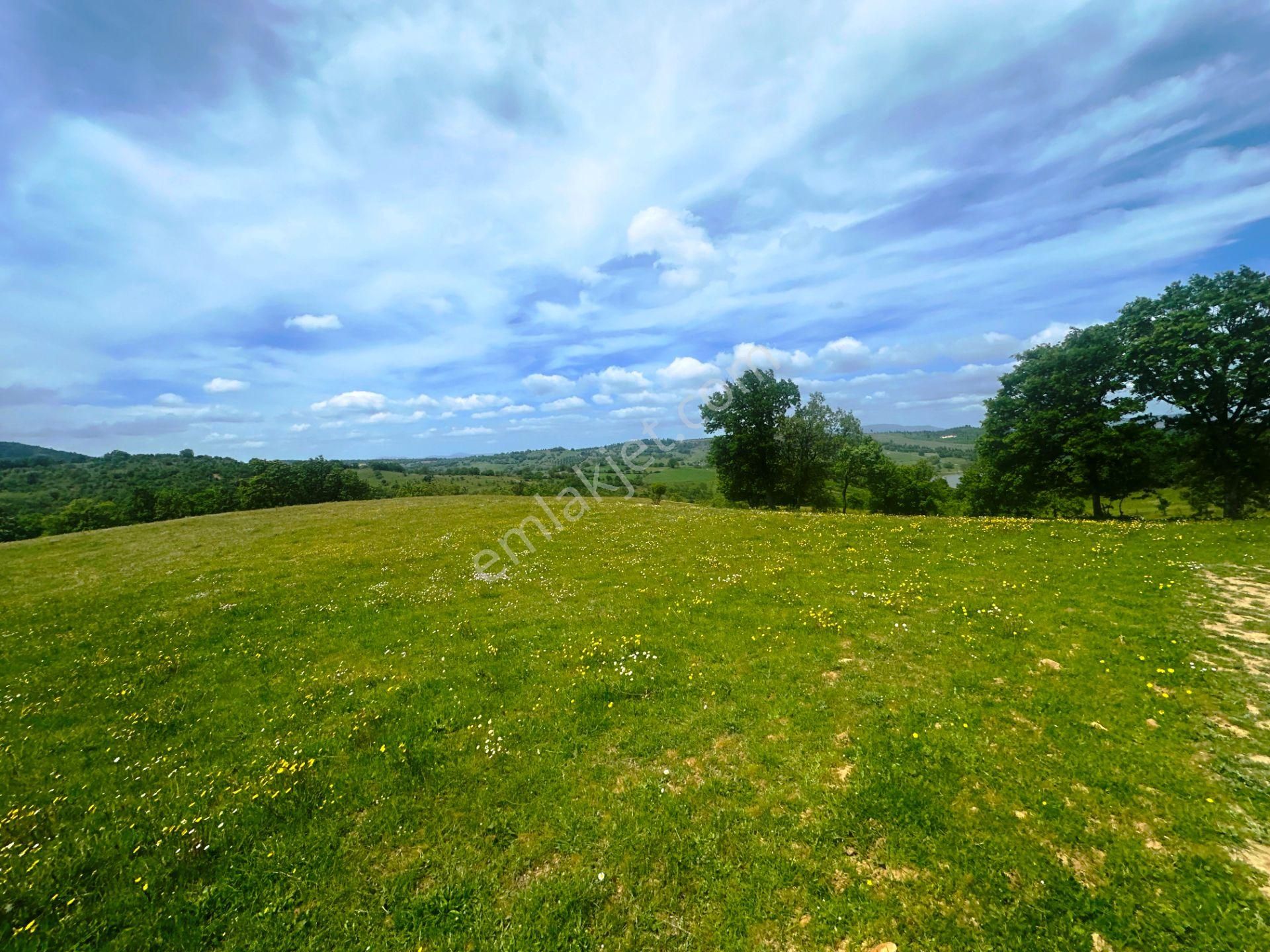 Çanakkale Bayramiç'de Yeni Otoban Yakınında 5.900m2 Satılık Arsa - Görsel 20