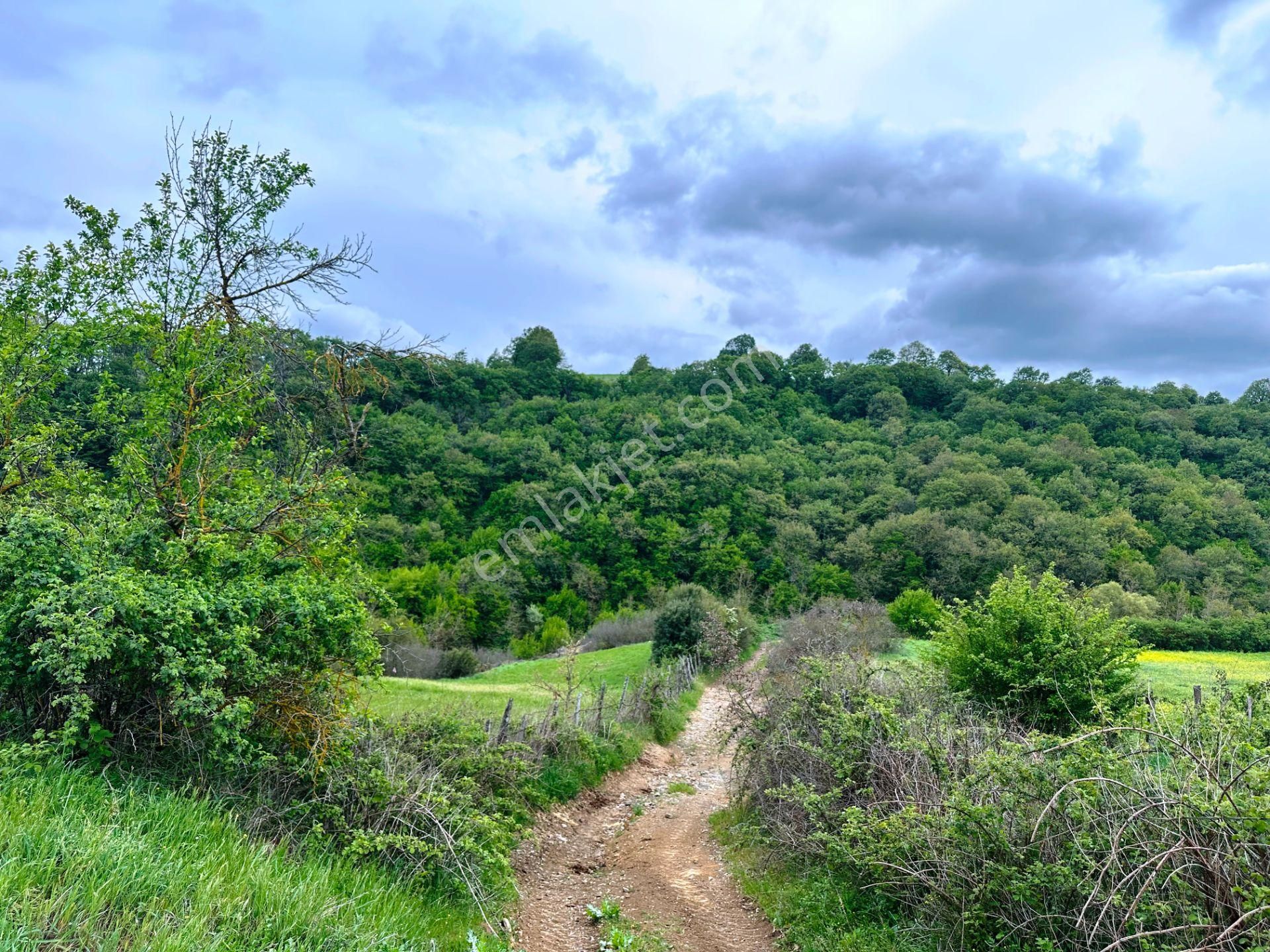 Çanakkale Bayramiç'de Yeni Otoban Yakınında 5.900m2 Satılık Arsa - Görsel 9
