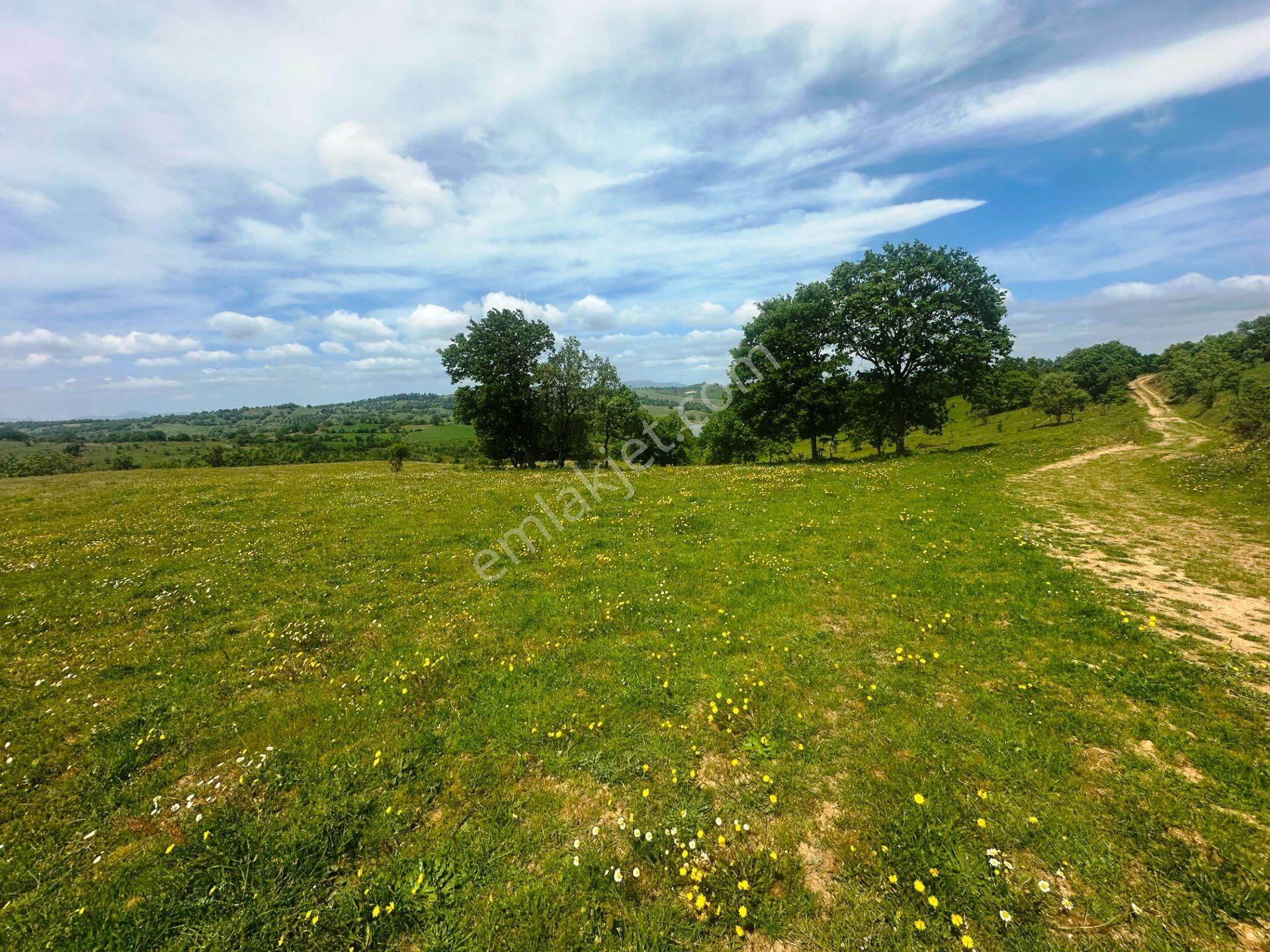 Çanakkale Bayramiç'de Yeni Otoban Yakınında 5.900m2 Satılık Arsa - Görsel 30