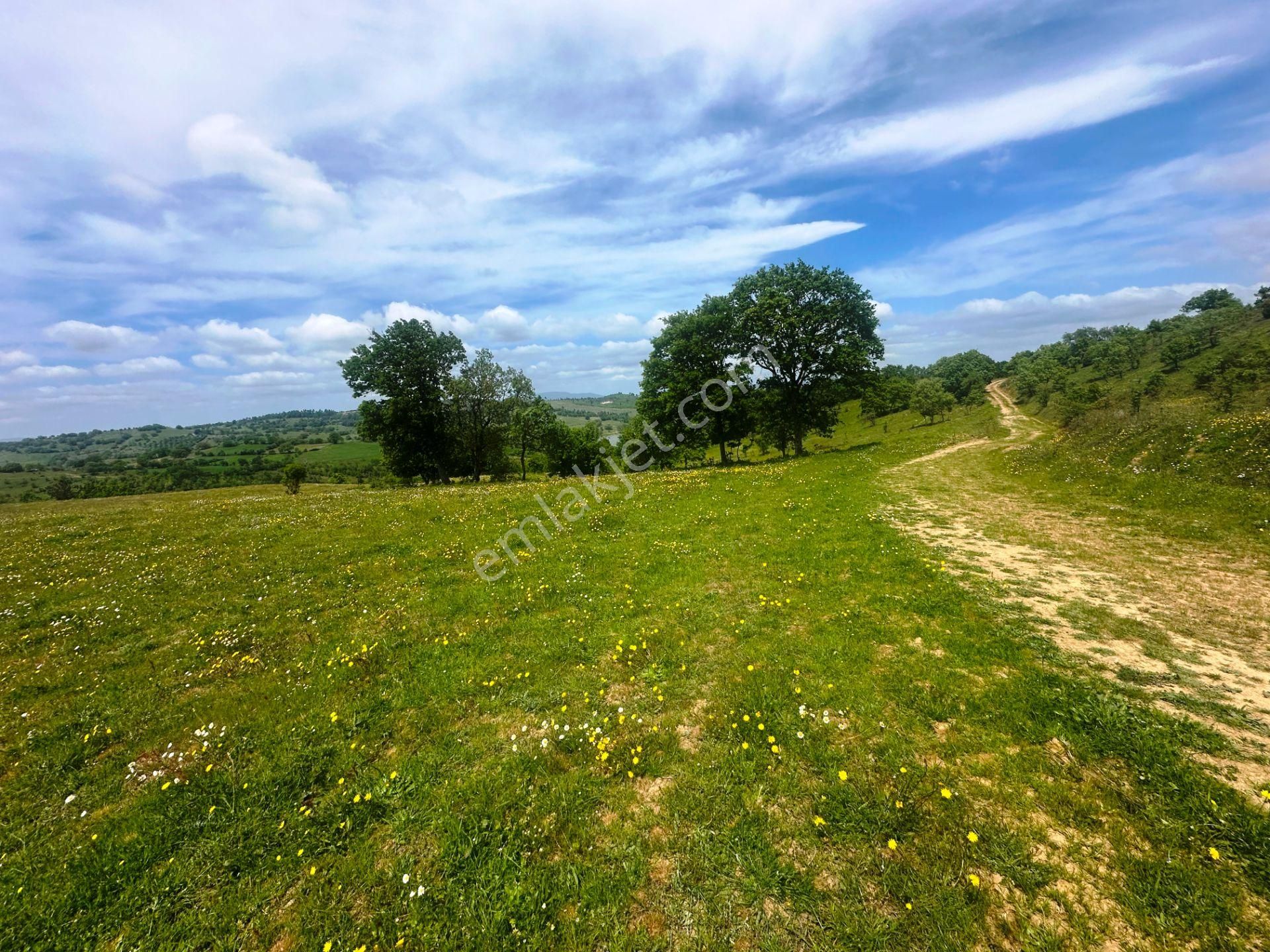 Çanakkale Bayramiç'de Yeni Otoban Yakınında 5.900m2 Satılık Arsa - Görsel 31