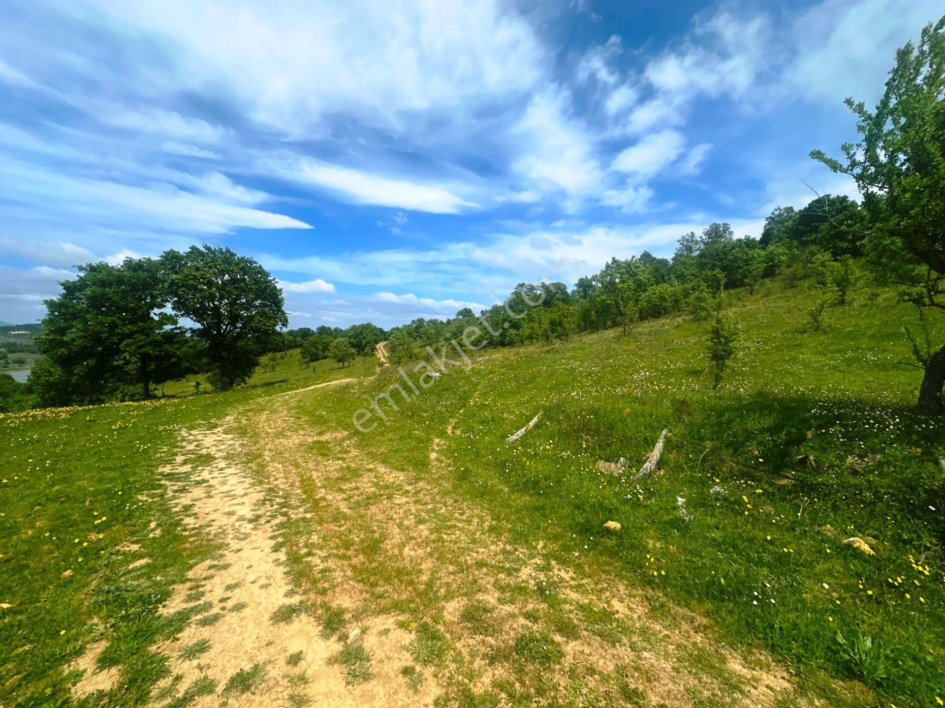 Çanakkale Bayramiç'de Yeni Otoban Yakınında 5.900m2 Satılık Arsa - Görsel 17